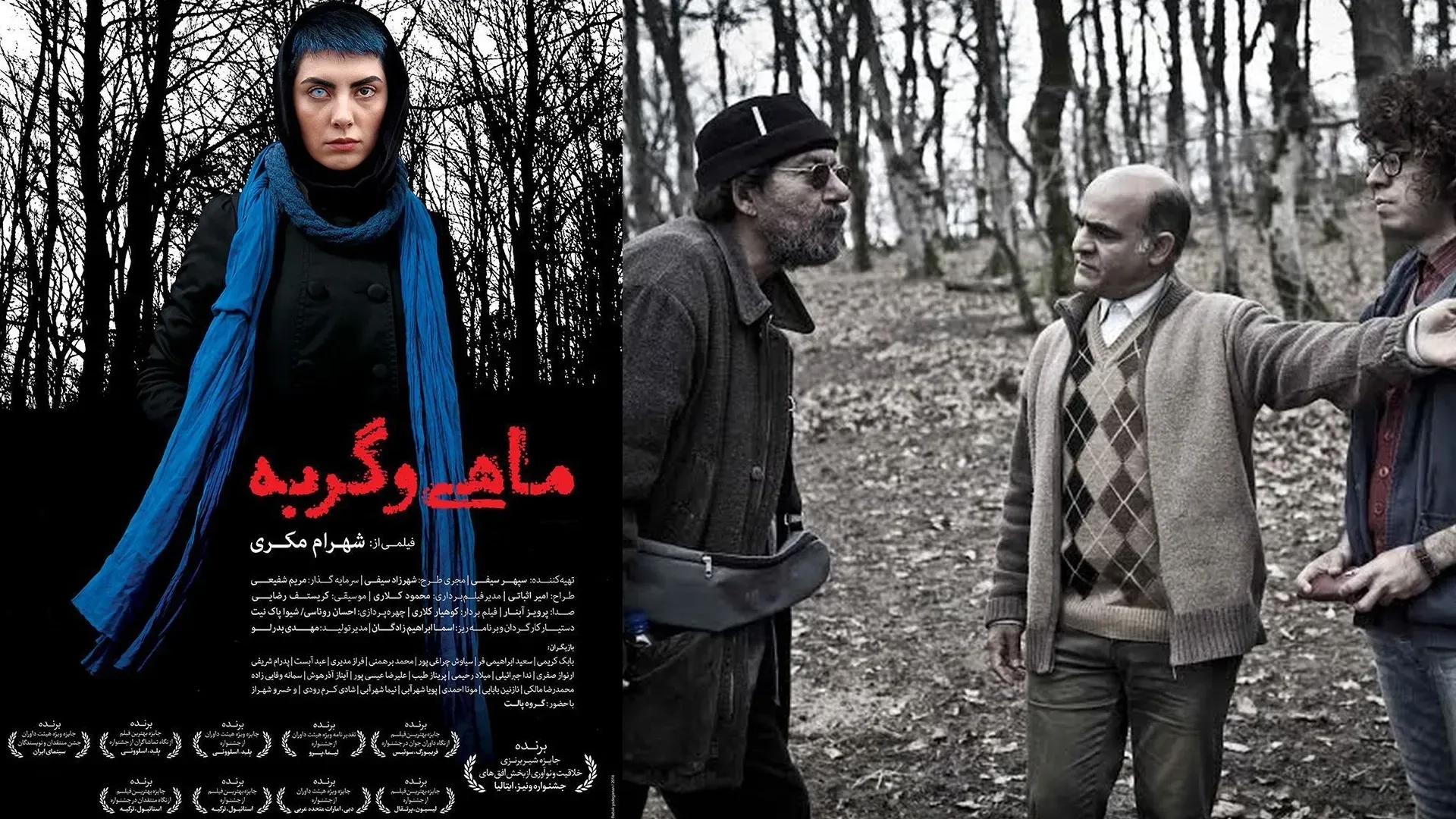 ماهی-و-گربه