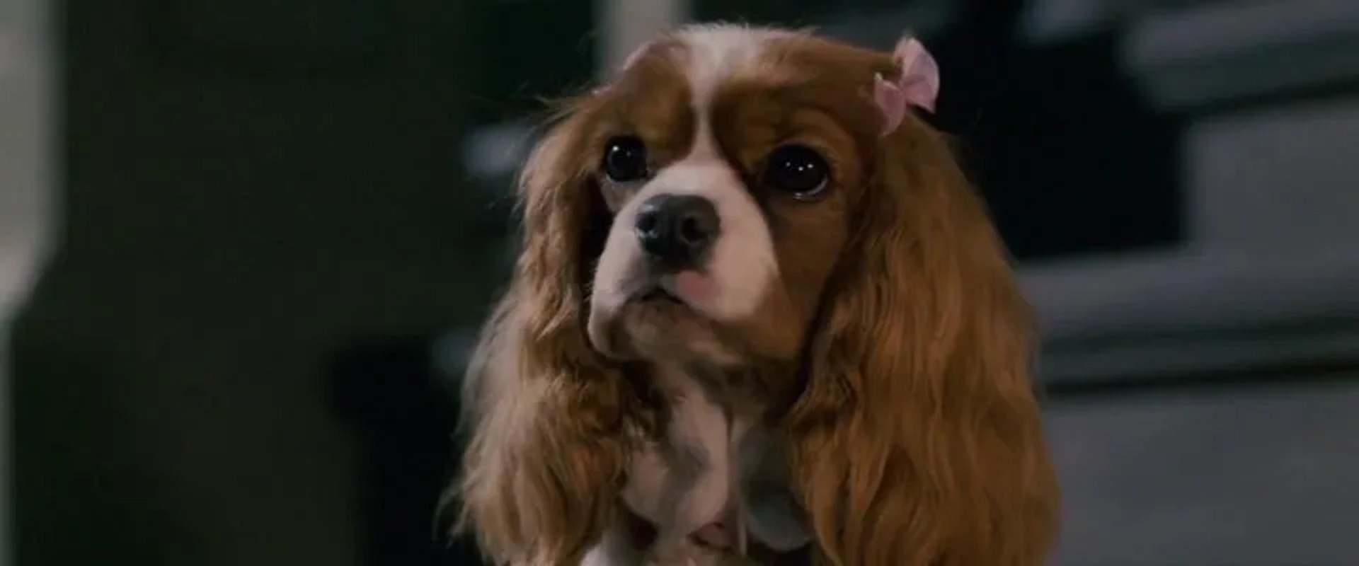 Amy Adams in Underdog (2007)