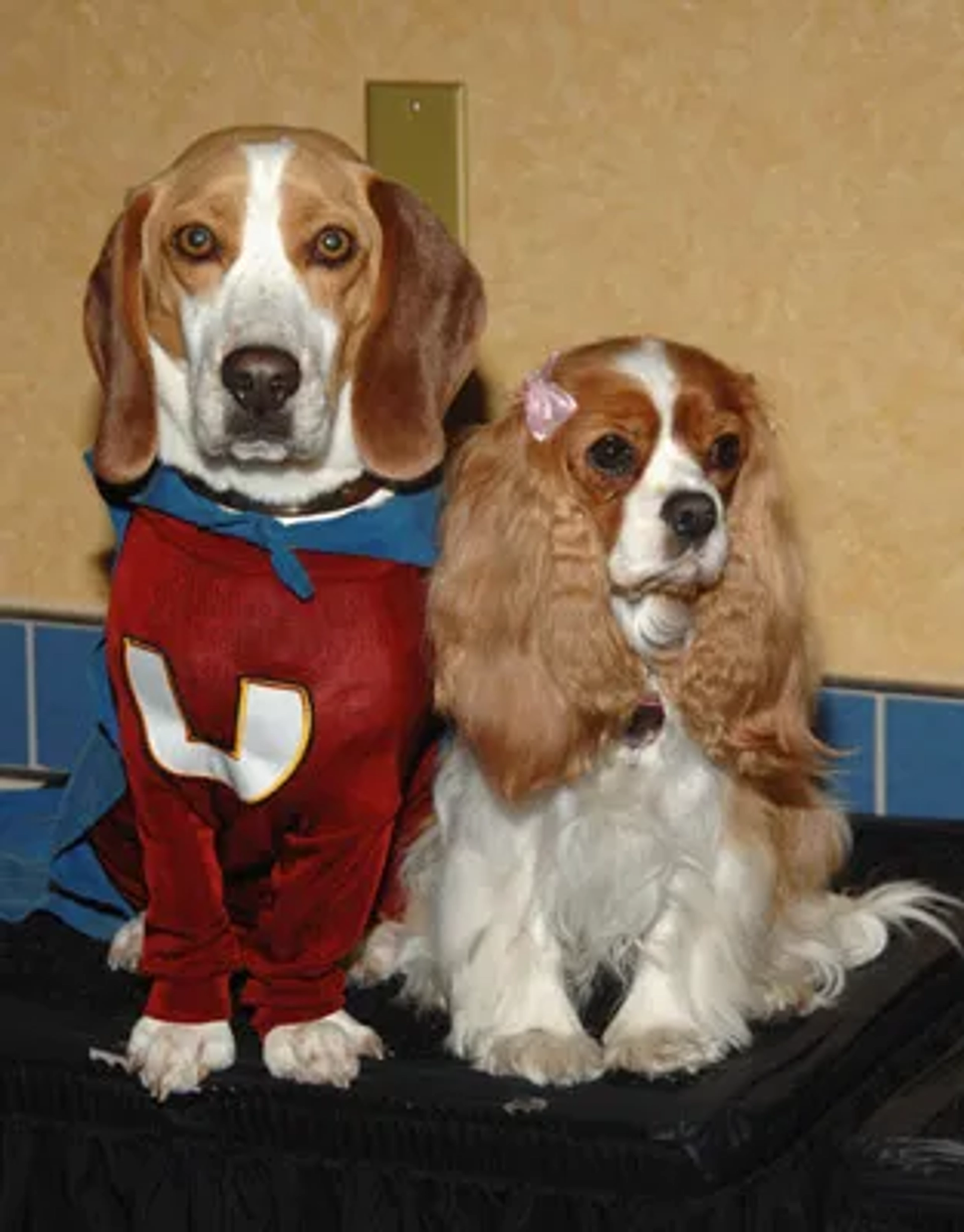 Jason Lee and Amy Adams at an event for Underdog (2007)
