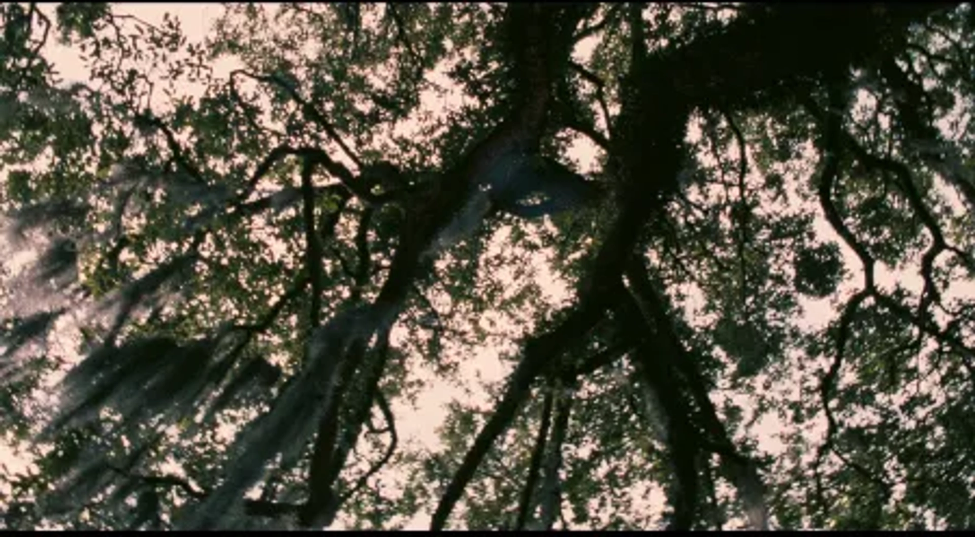 Eve's Bayou (1997)