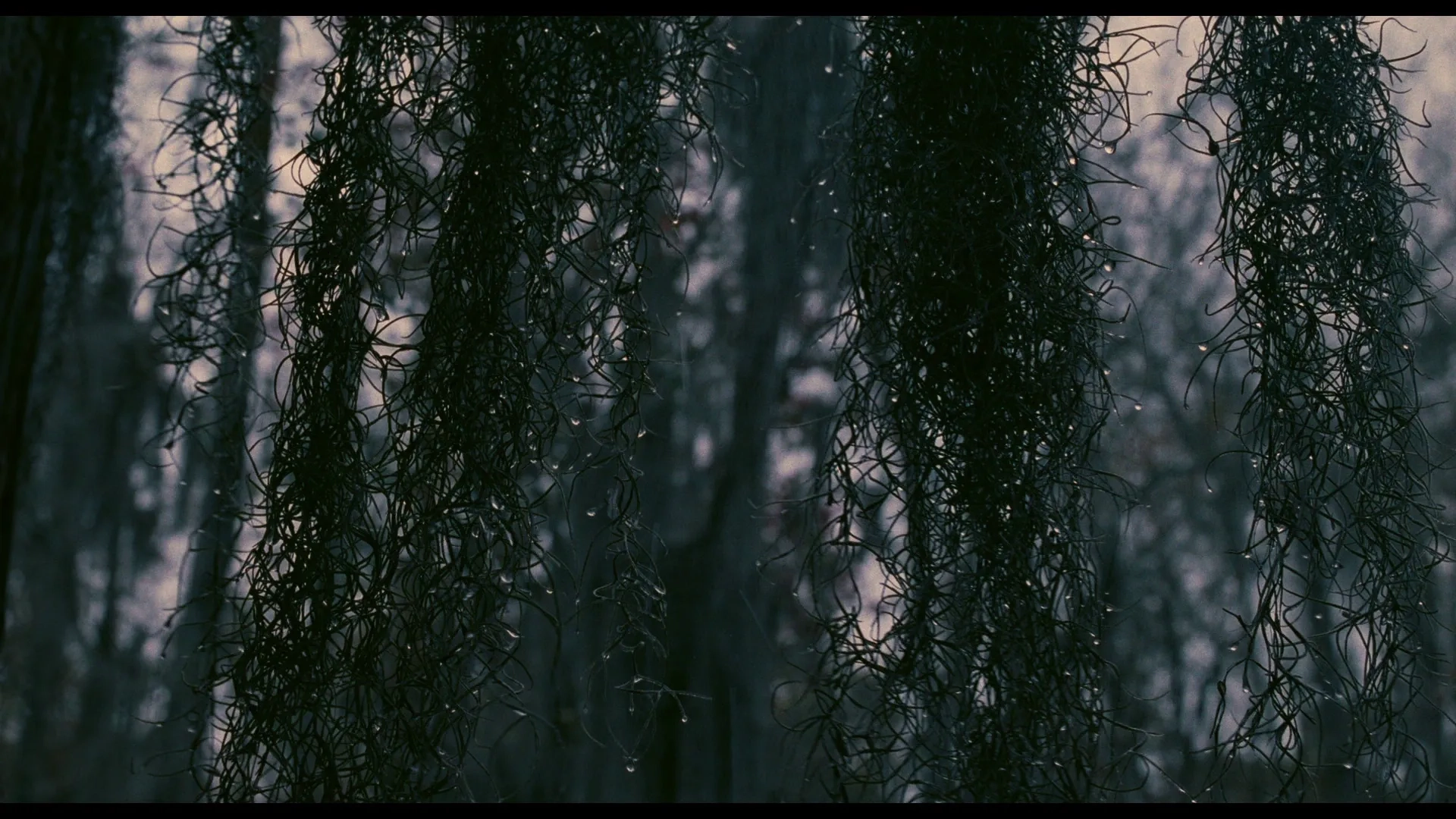 Eve's Bayou (1997)