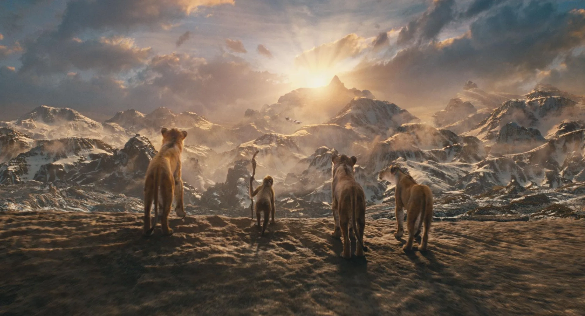 John Kani, Rafiki, Mufasa, Tiffany Boone, Ali Sarabi, Taka, Kelvin Harrison Jr., and Aaron Pierre in Mufasa: The Lion King (2024)