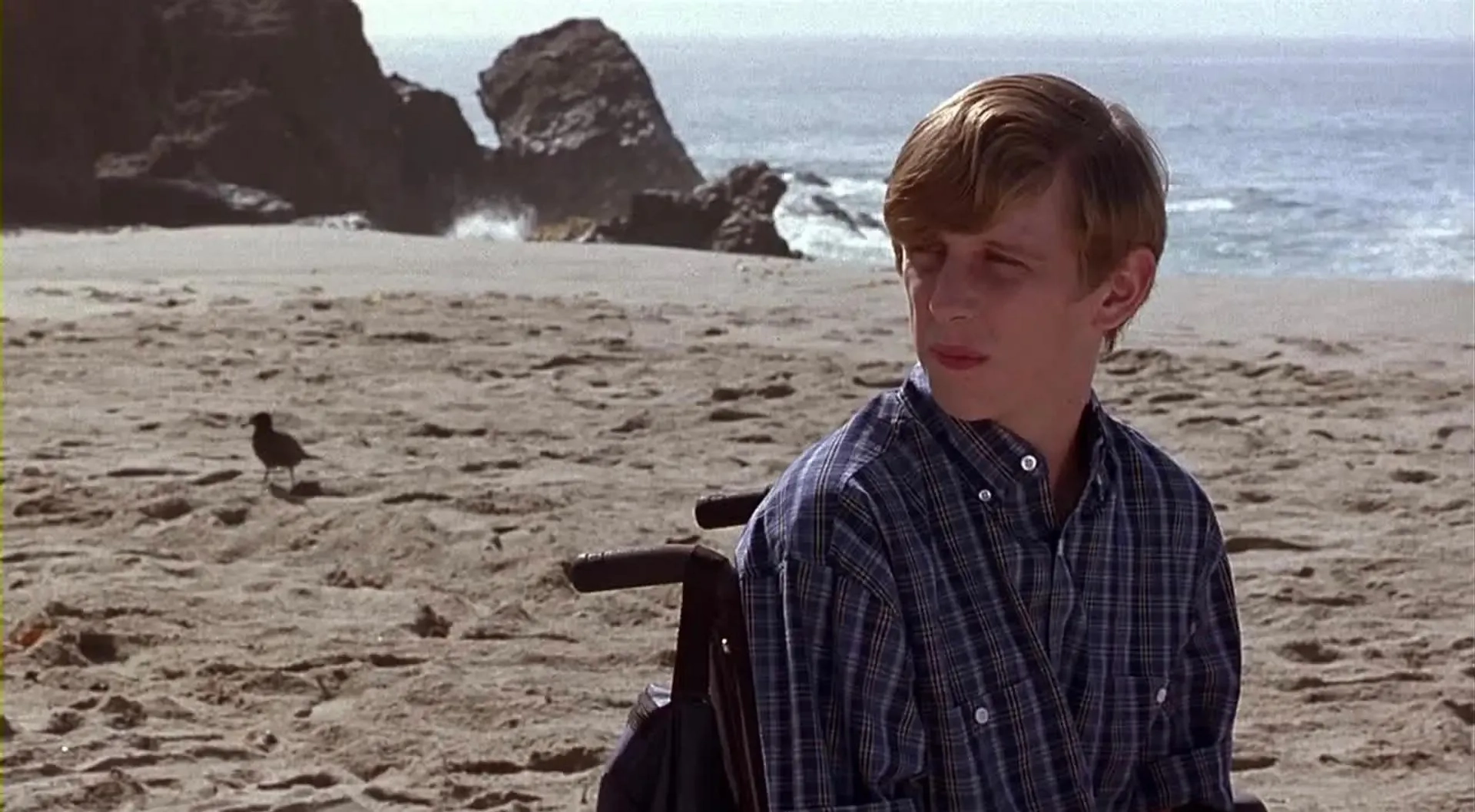 Pumpkin (2002)