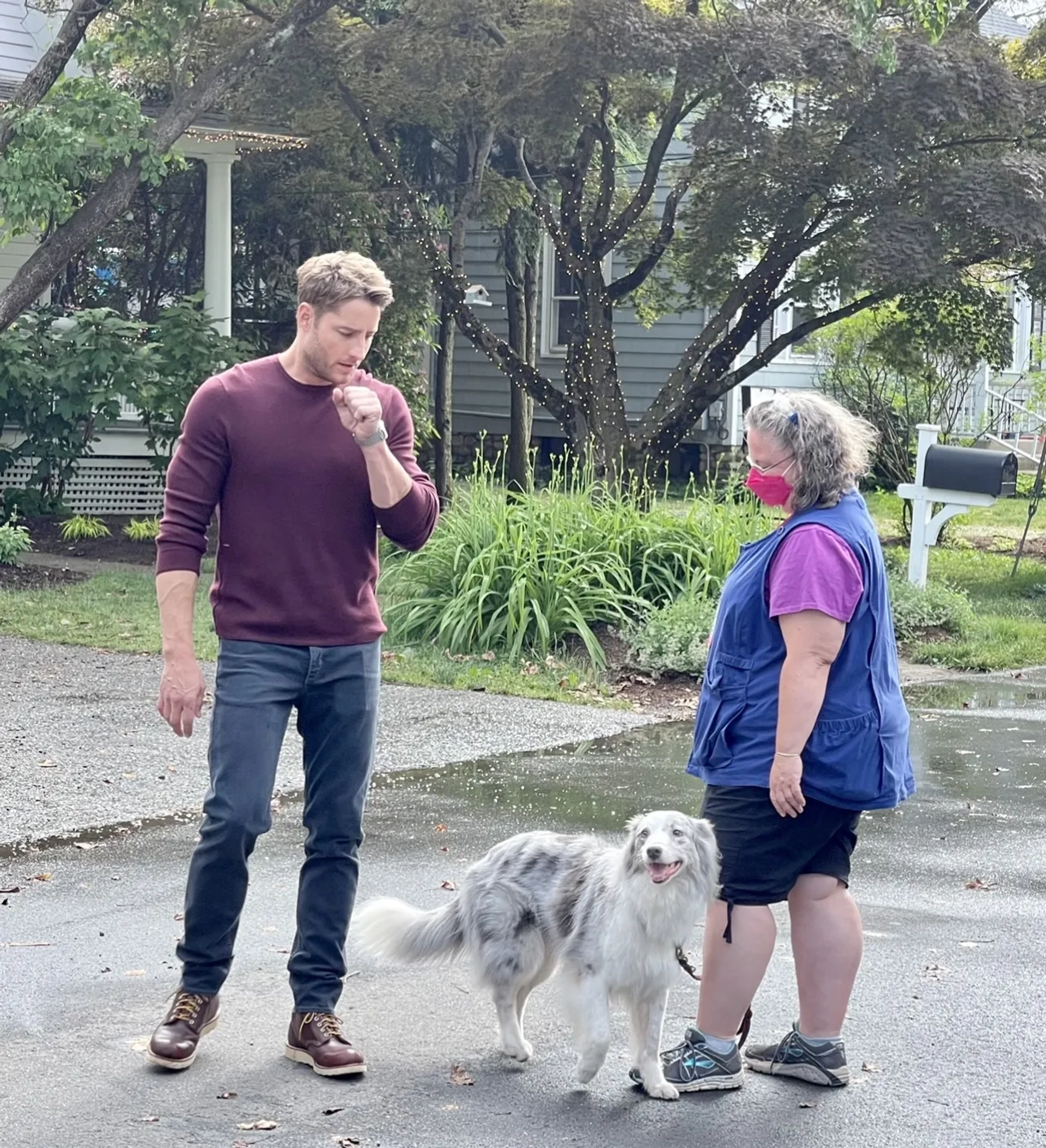 Justin Hartley, Outrun's Allagash Evening Skye, and Ariane M. Bailey in The Noel Diary (2022)