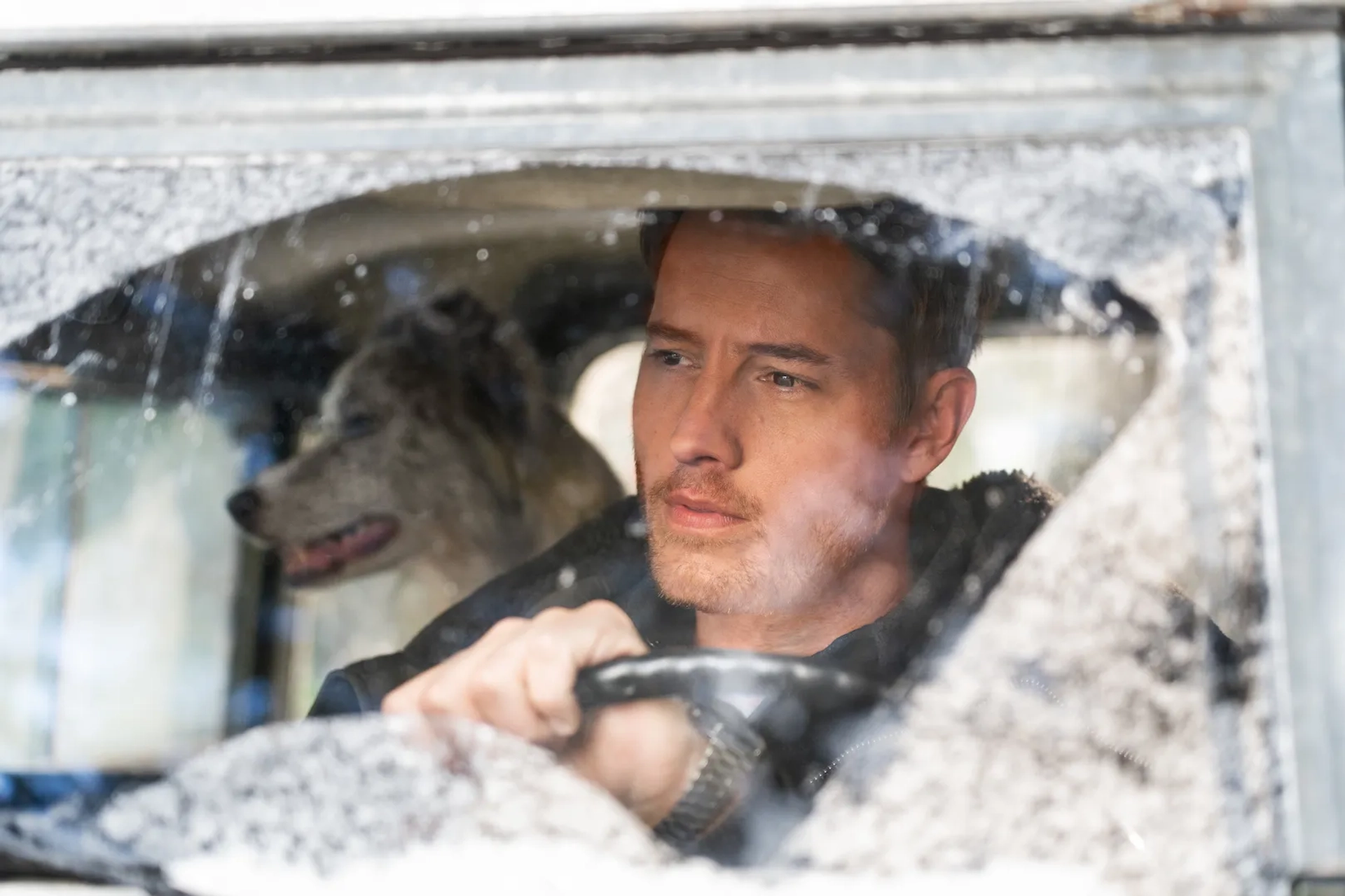 Justin Hartley and Outrun's Allagash Evening Skye in The Noel Diary (2022)