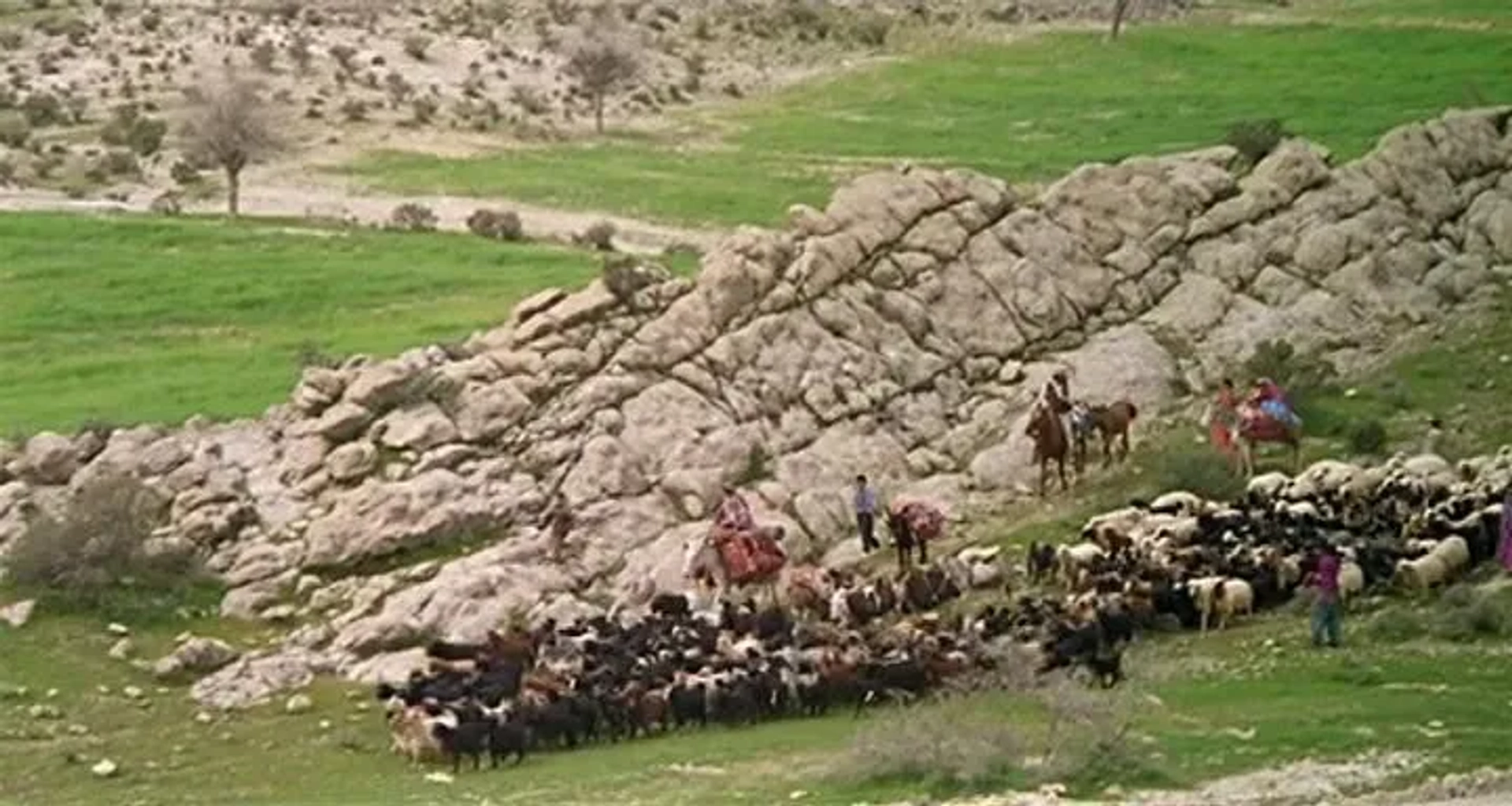 Gabbeh (1996)