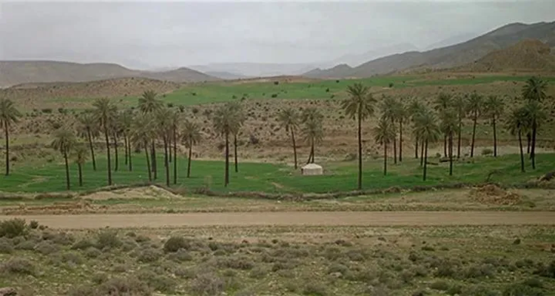 Gabbeh (1996)