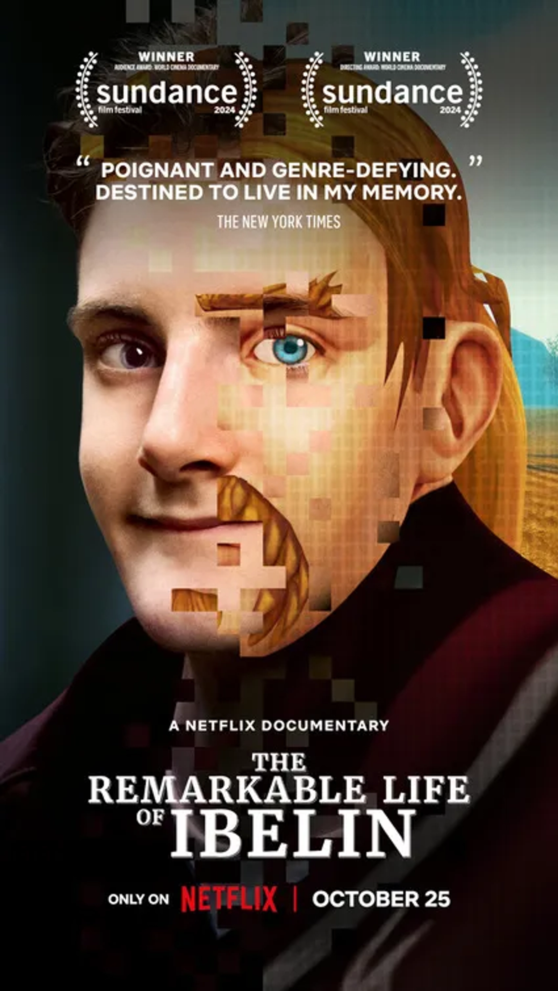The Remarkable Life of Ibelin (2024)