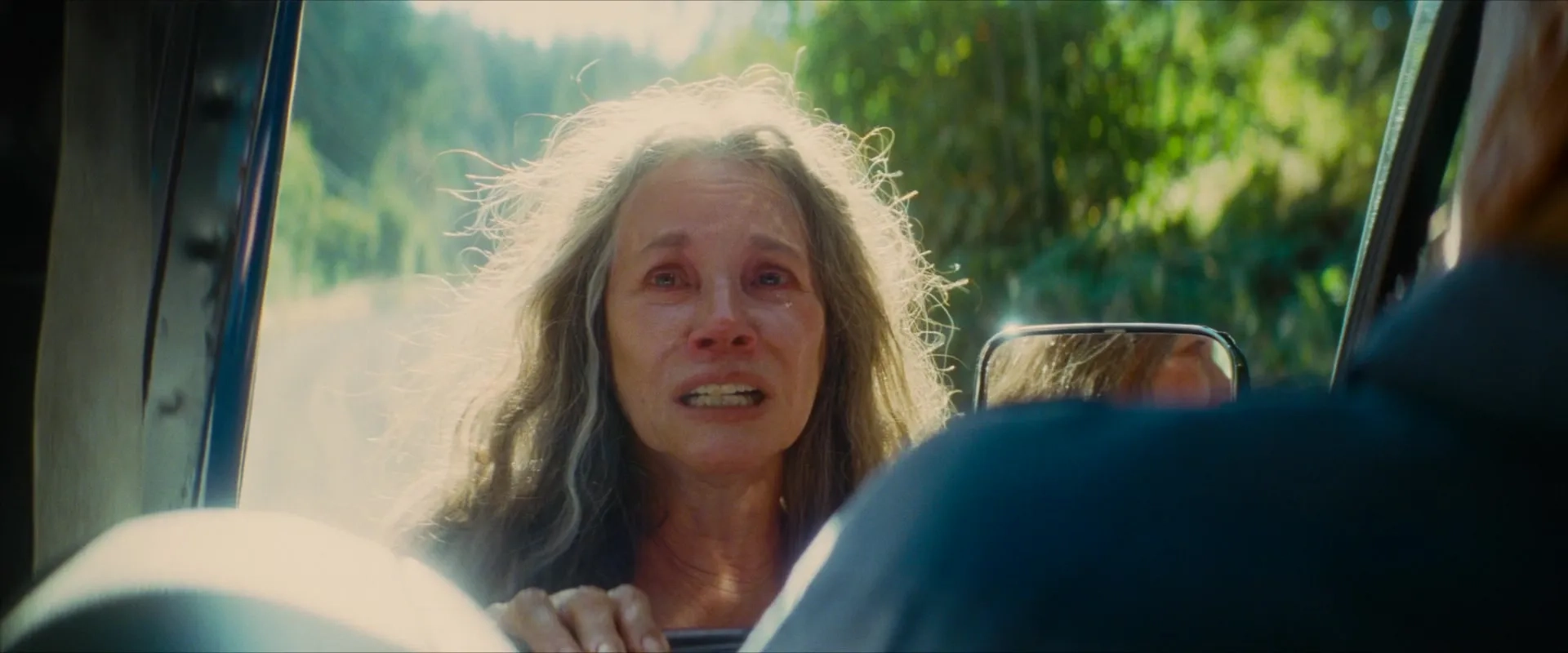 Barbara Hershey in Strange Darling (2023)