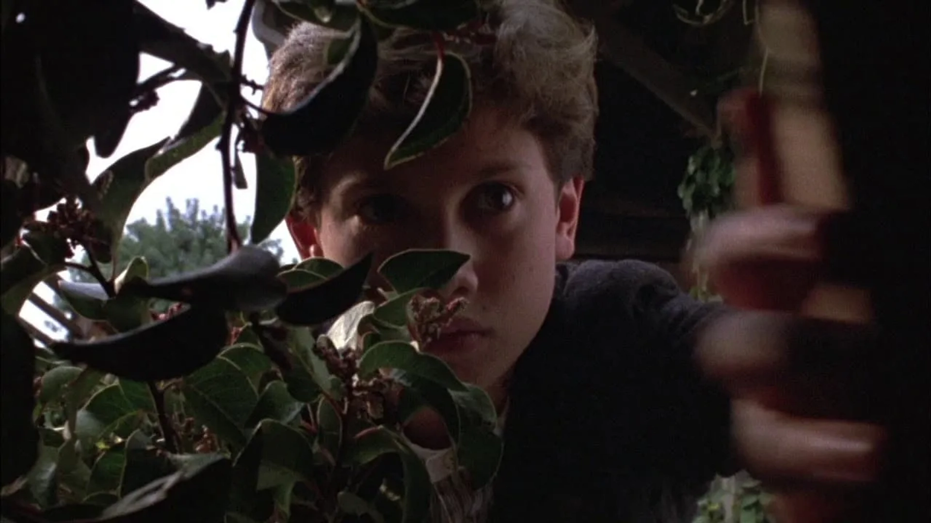 Daniel Cerny in Children of the Corn III: Urban Harvest (1995)