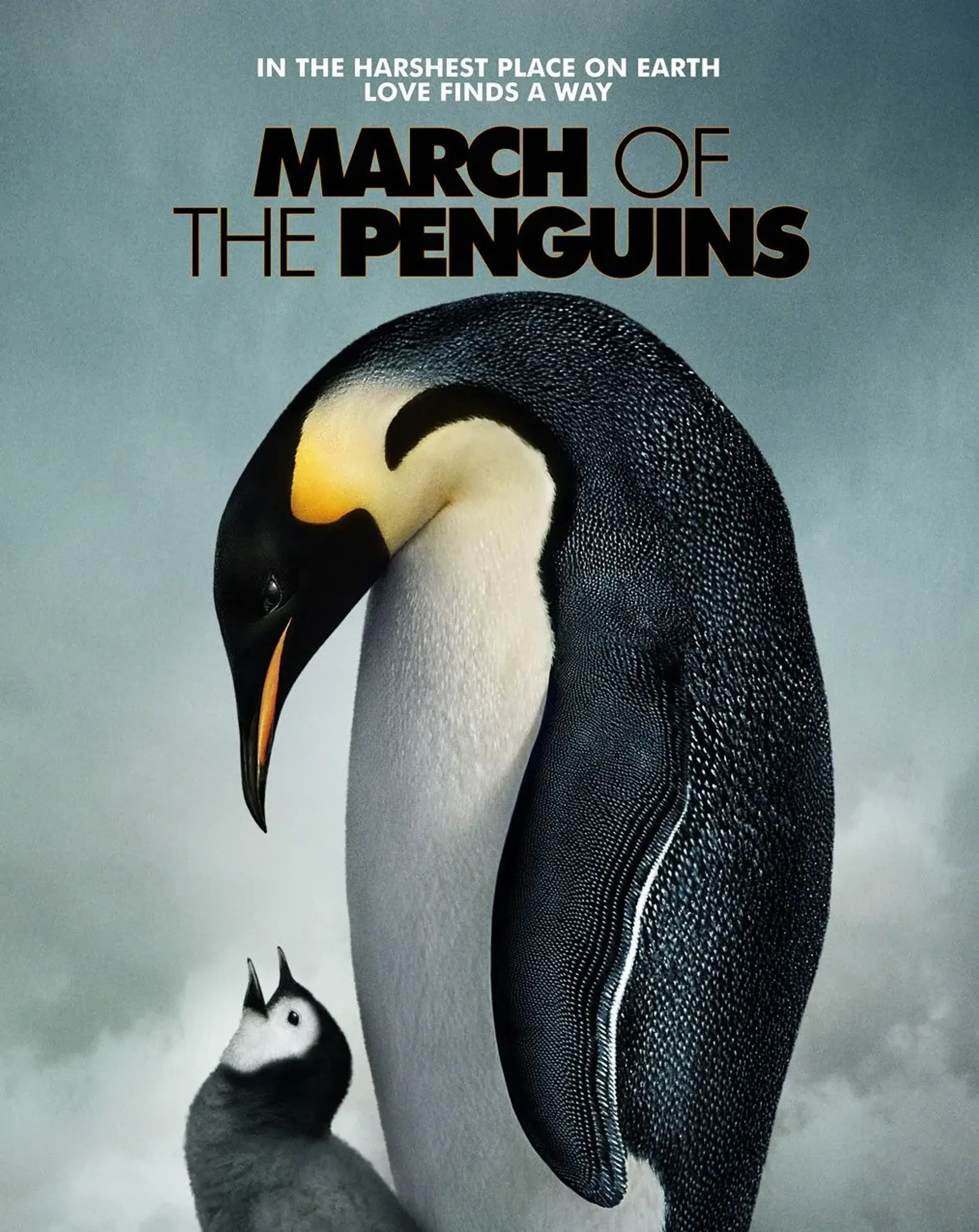 مستند رژه پنگوئن‌ ها (March of the Penguins 2005)