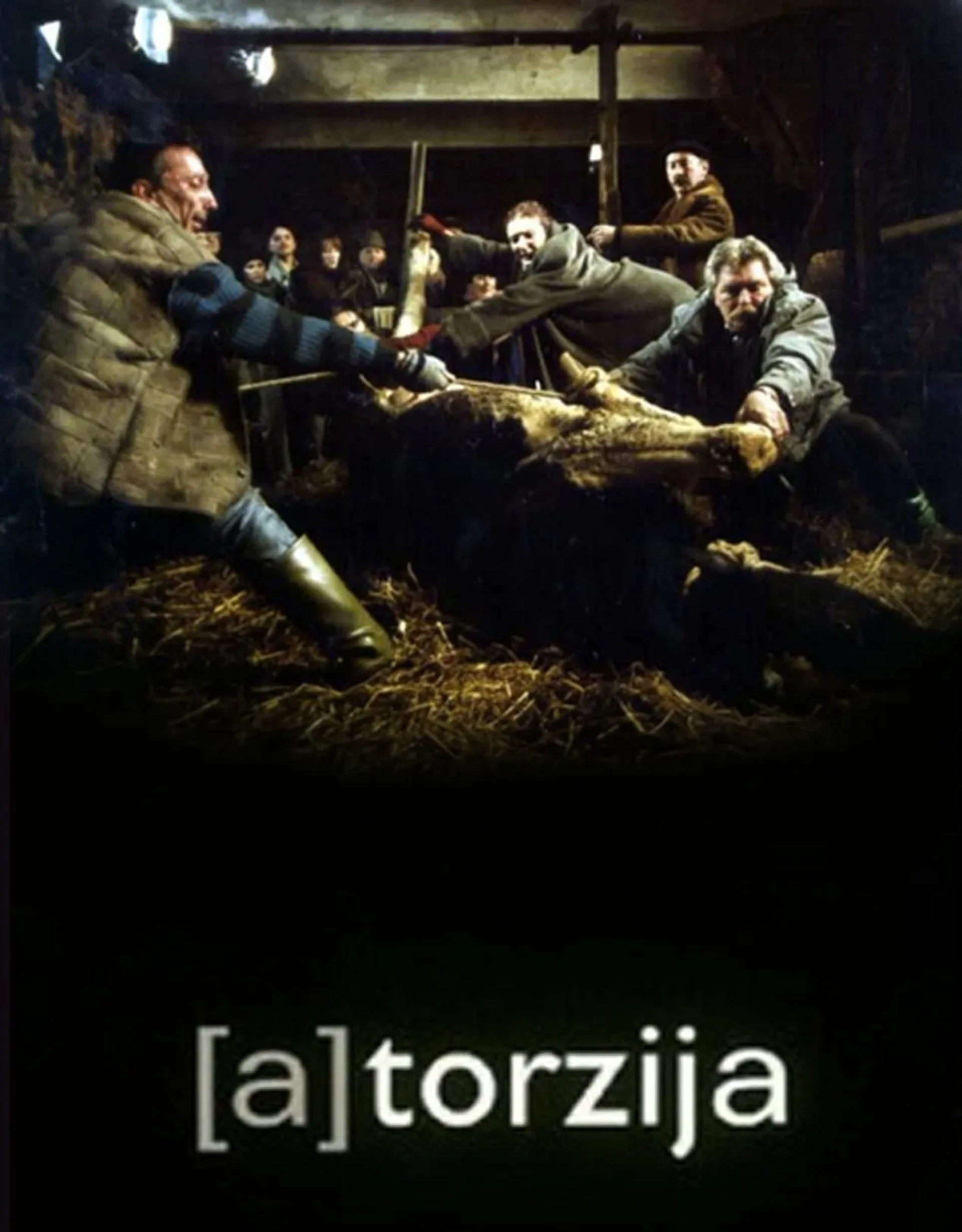 فیلم تورزیجا (A)