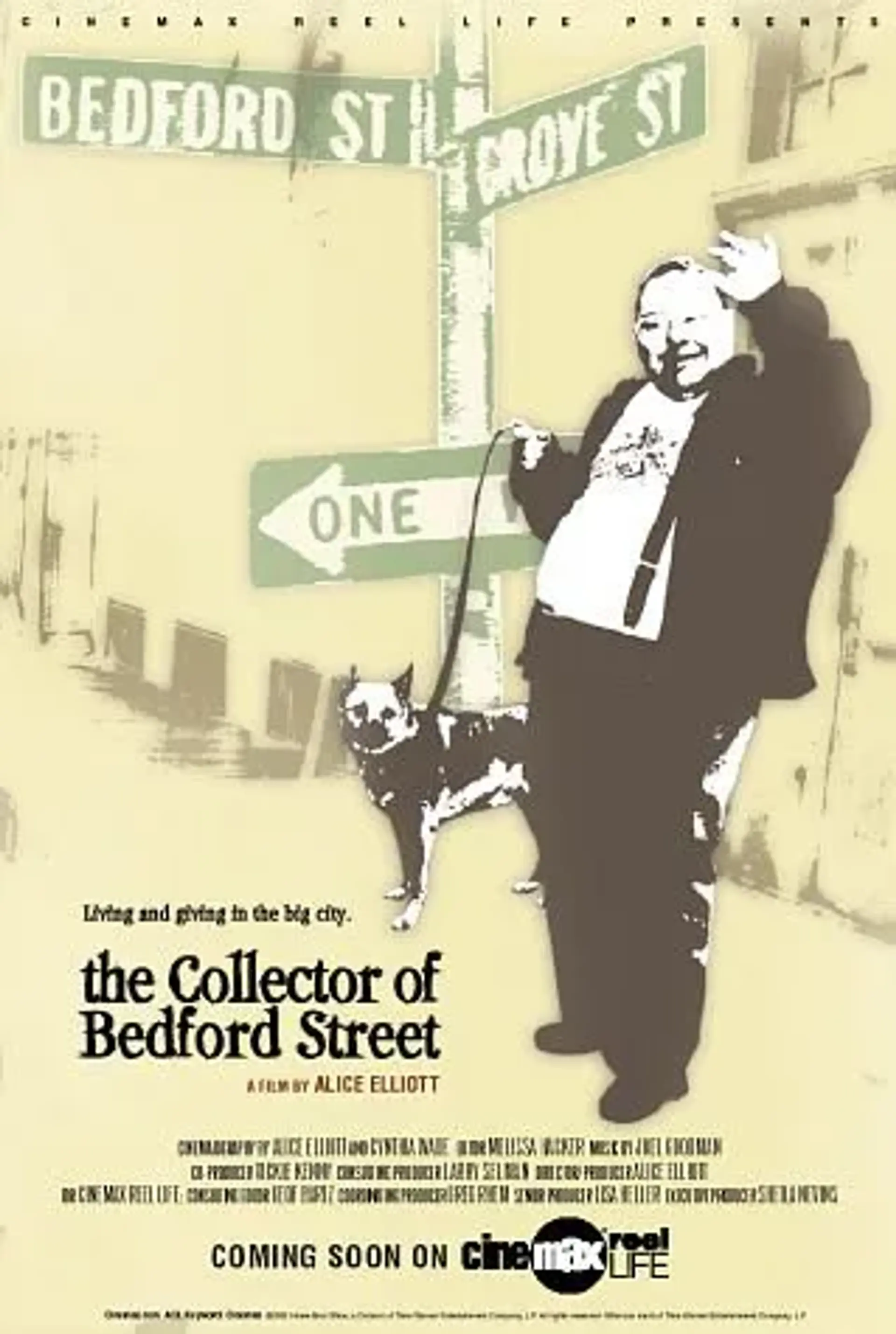 مستند کلکسیونر خیابان بدفورد (The Collector of Bedford Street 2002)