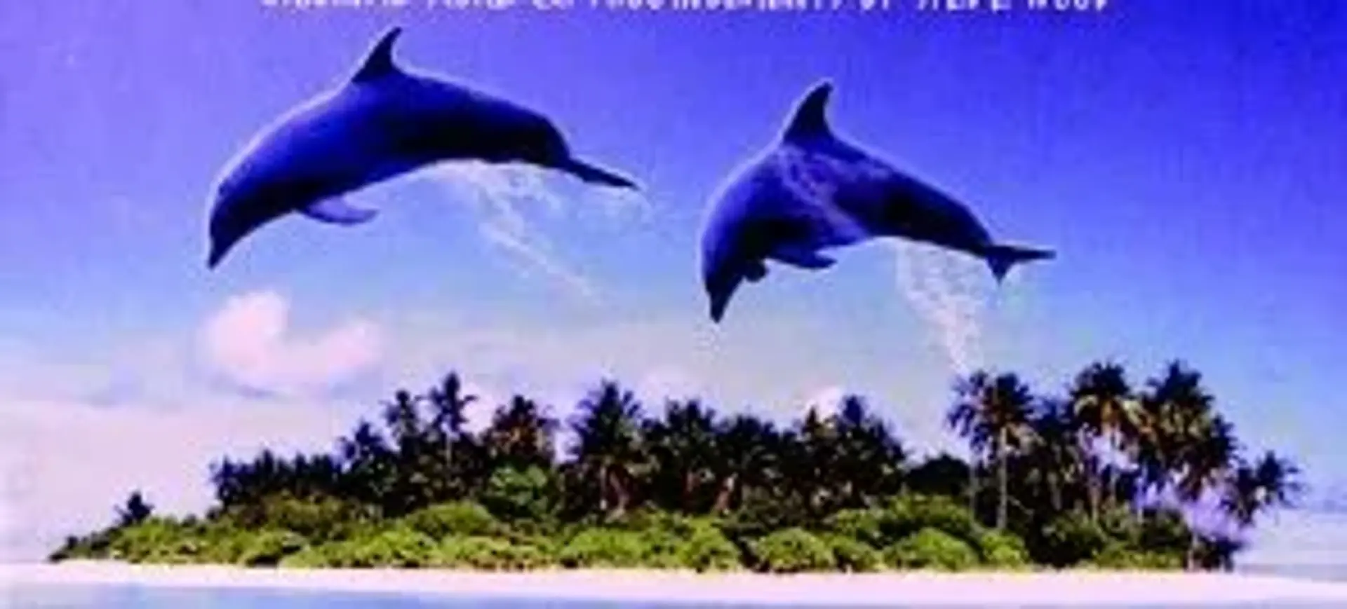 مستند دلفین ها (Dolphins 2000)