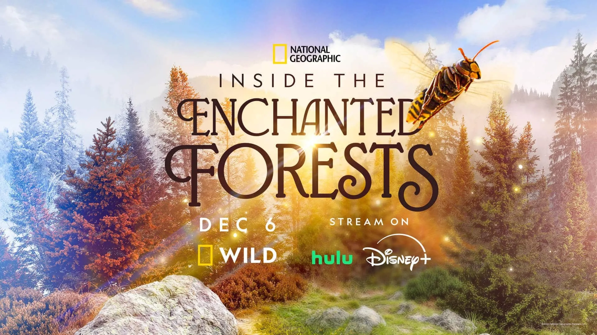 سریال درون جنگل های مسحور شده (Inside the Enchanted Forests 2024)