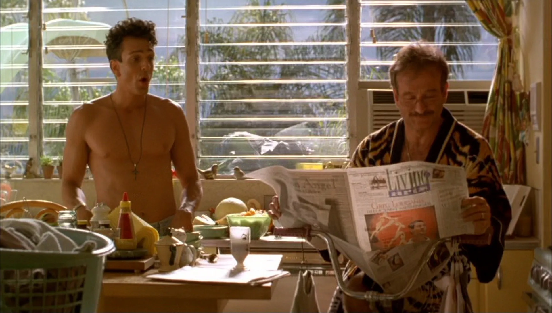 فیلم قفس پرنده (The Birdcage 1996)