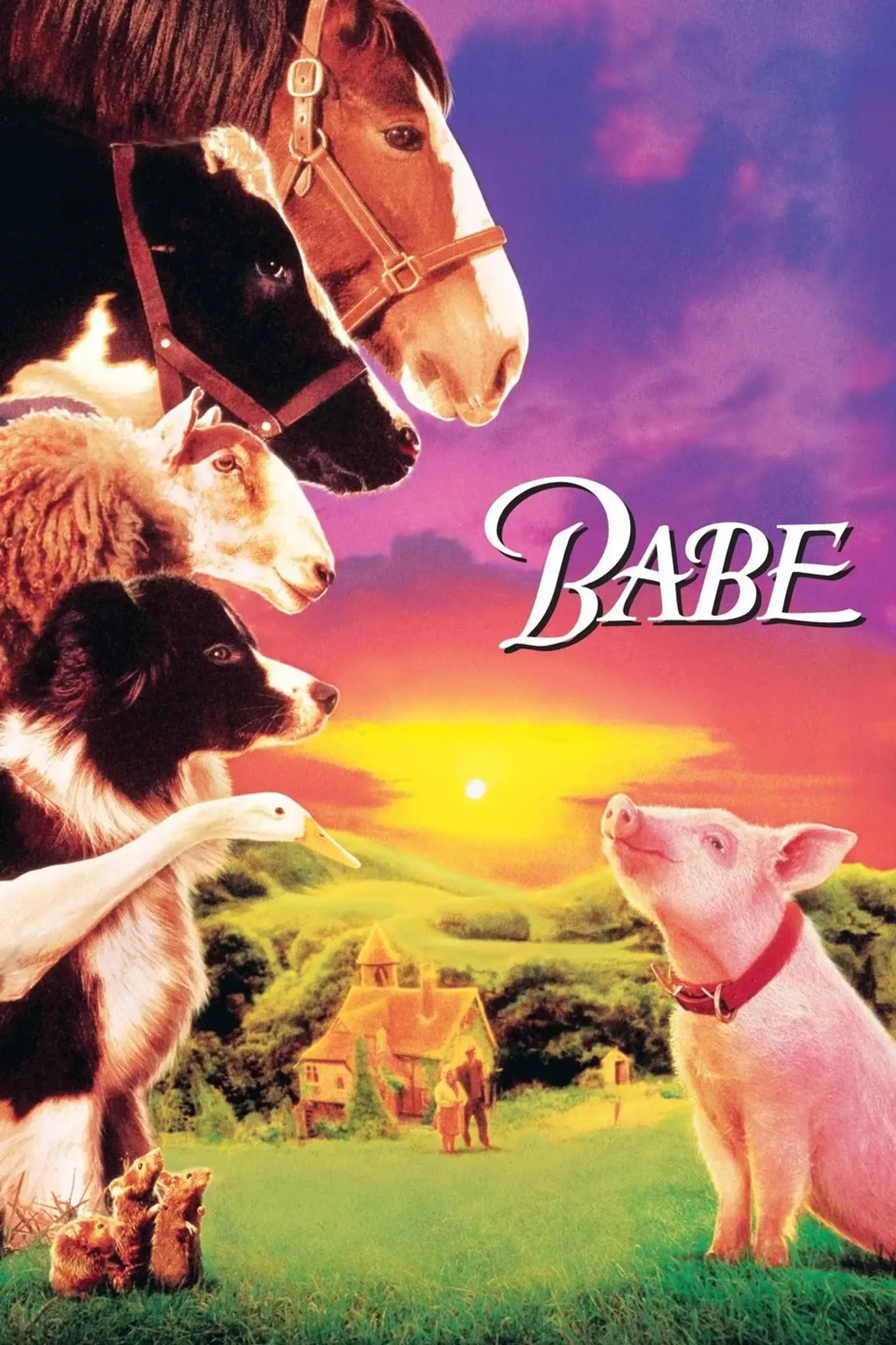 فیلم بیب (Babe 1995)