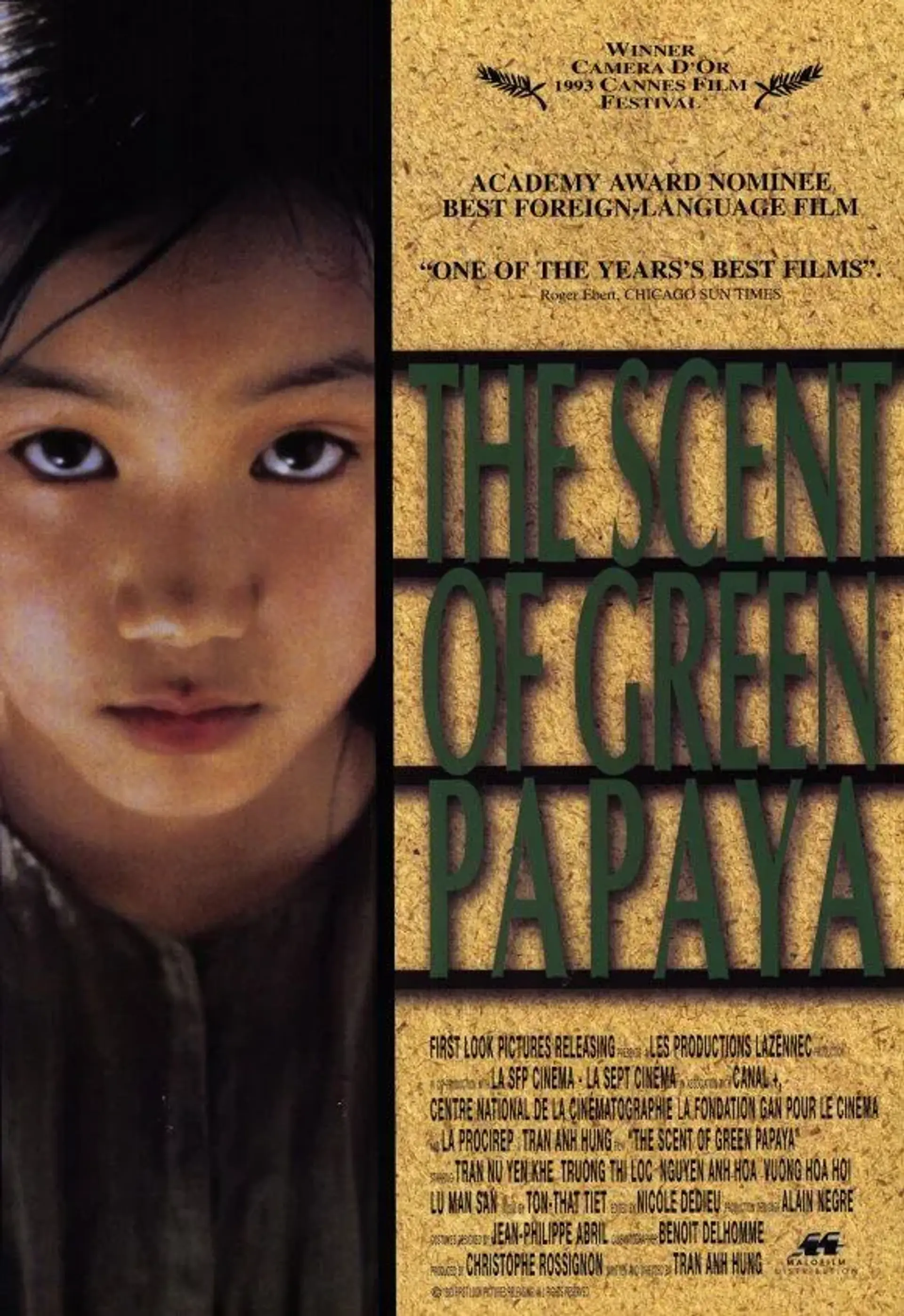 فیلم بوی خوش پاپایای سبز (The Scent of Green Papaya 1993)