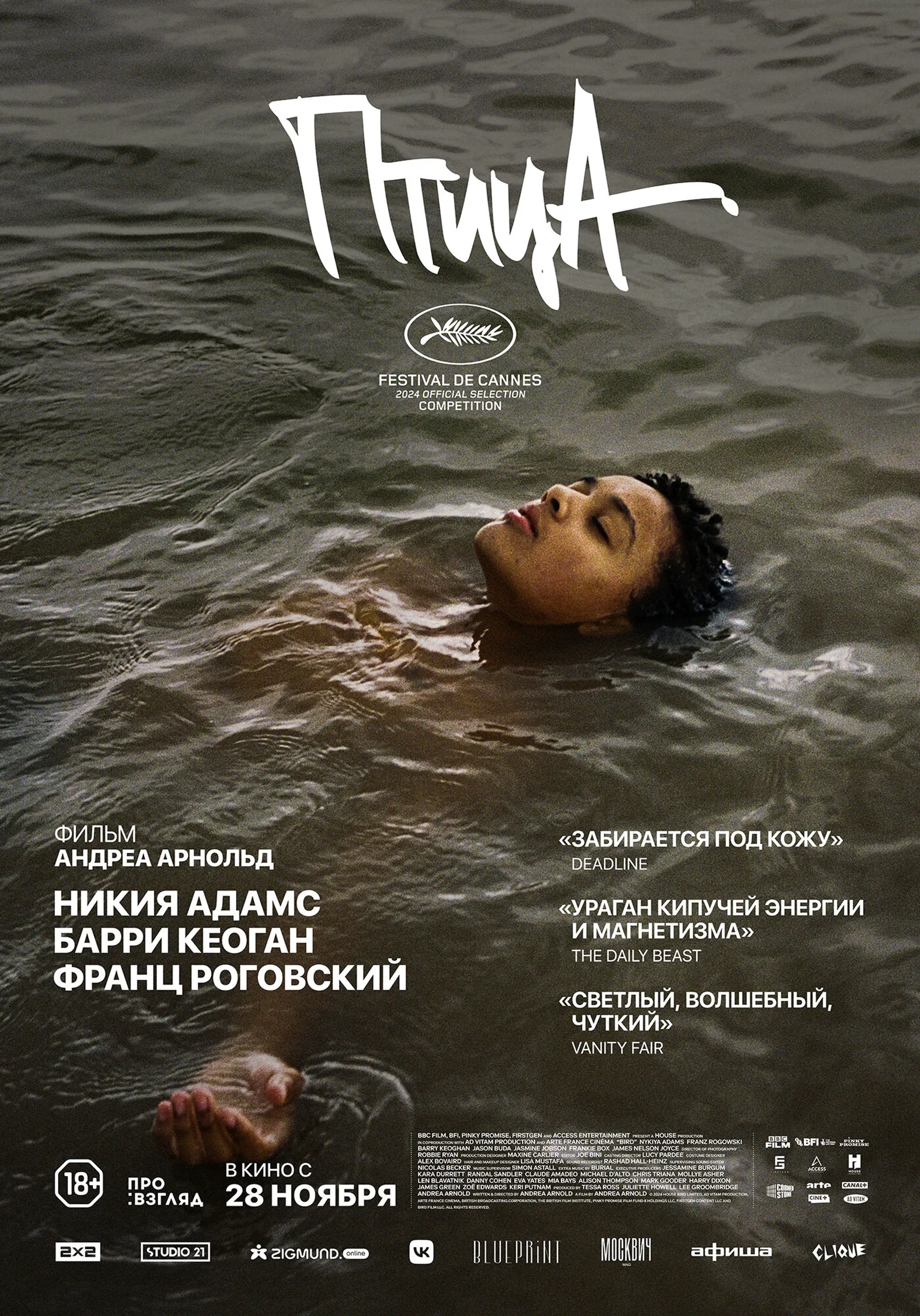 Bird (2024)