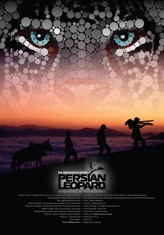 در جستجوی پلنگ ایرانی