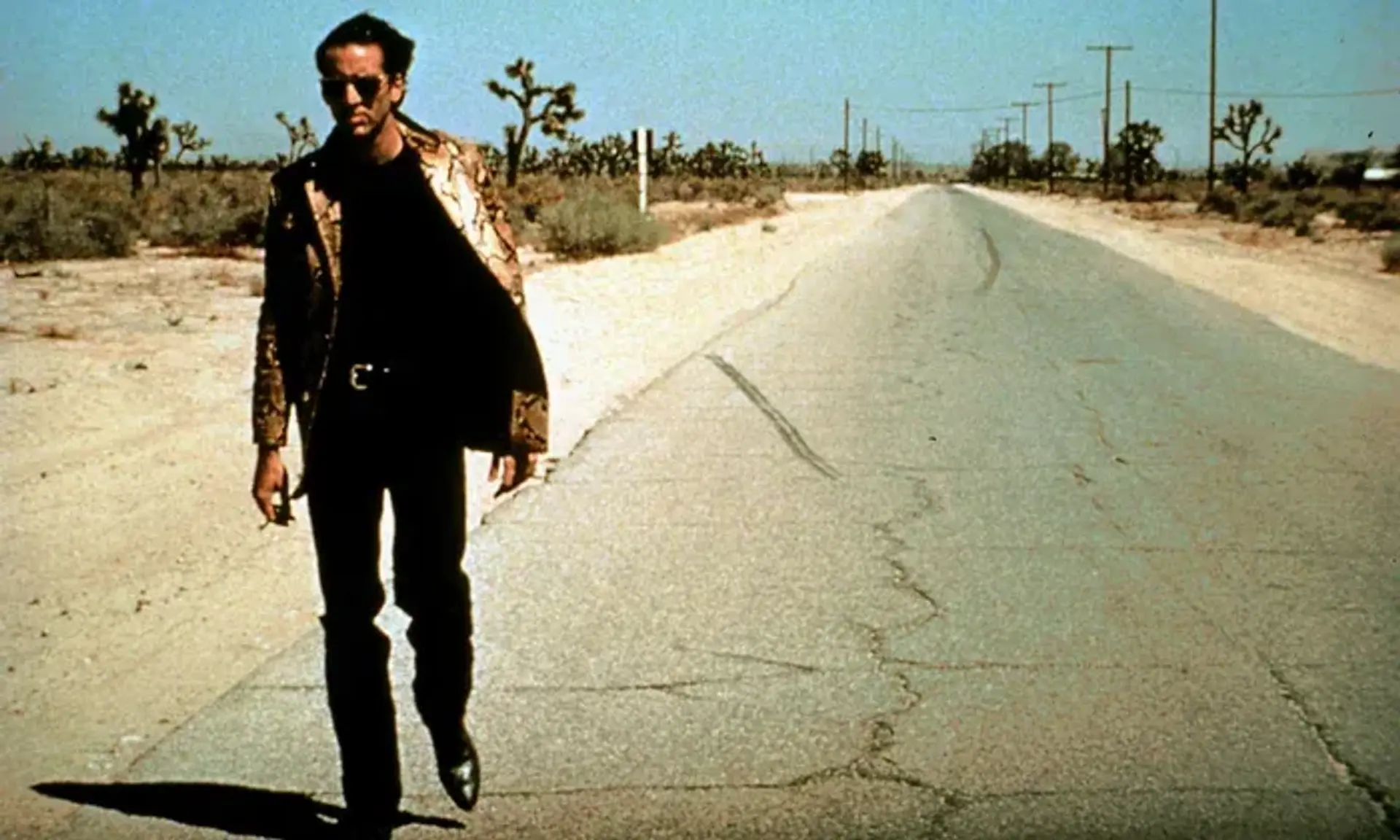 فیلم از ته دل وحشی (Wild at Heart 1990)