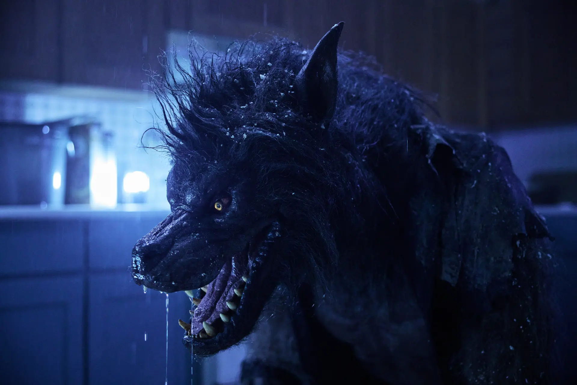 فیلم گرگینه ها (Werewolves 2024)