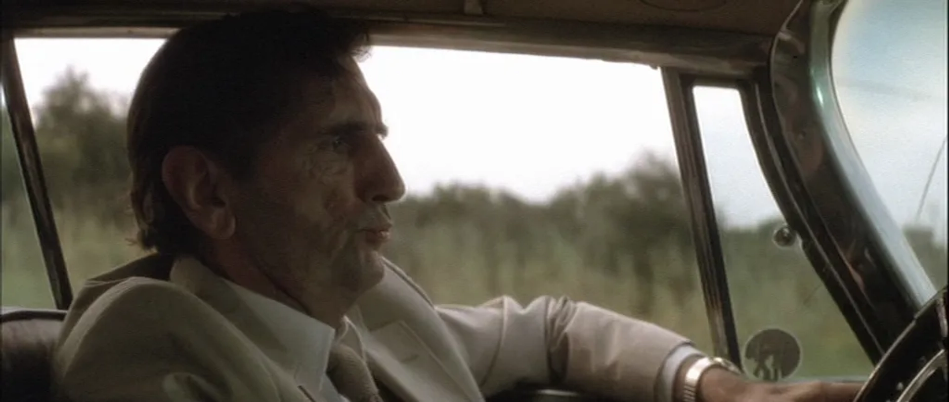 Harry Dean Stanton in Wild at Heart (1990)