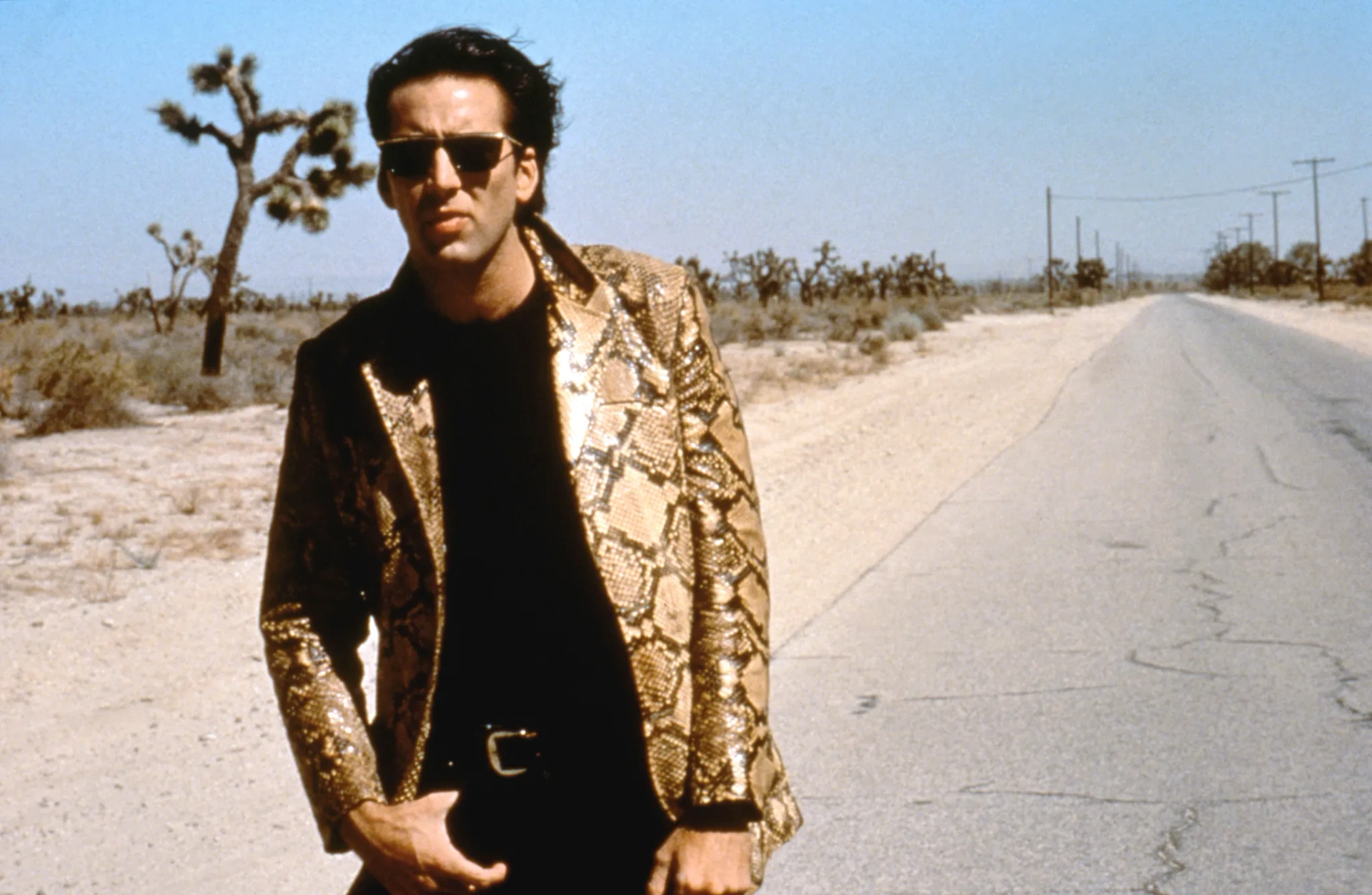 Nicolas Cage in Wild at Heart (1990)