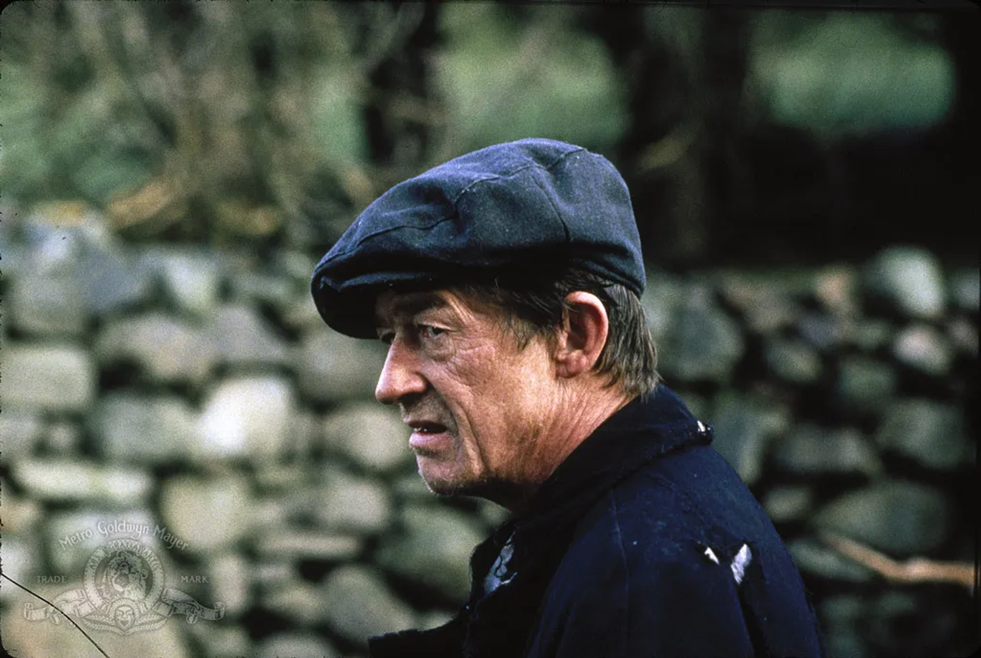 John Hurt in The Field (1990)