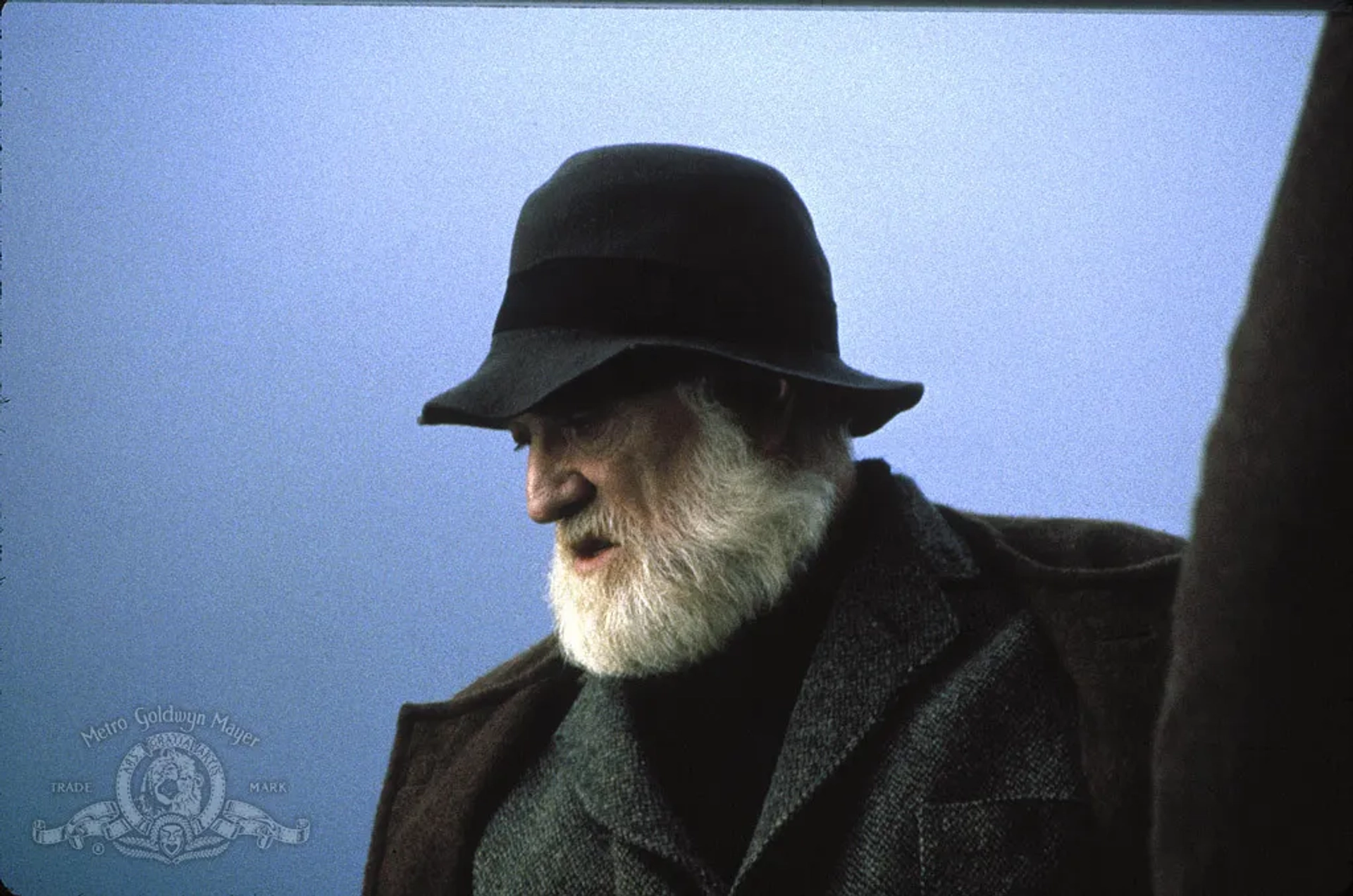 Richard Harris in The Field (1990)