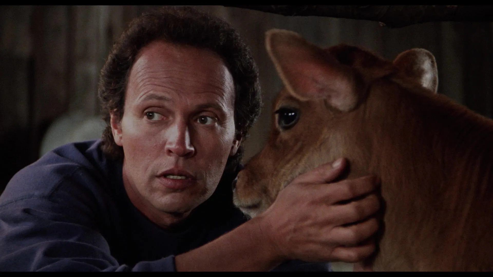 Billy Crystal in City Slickers (1991)