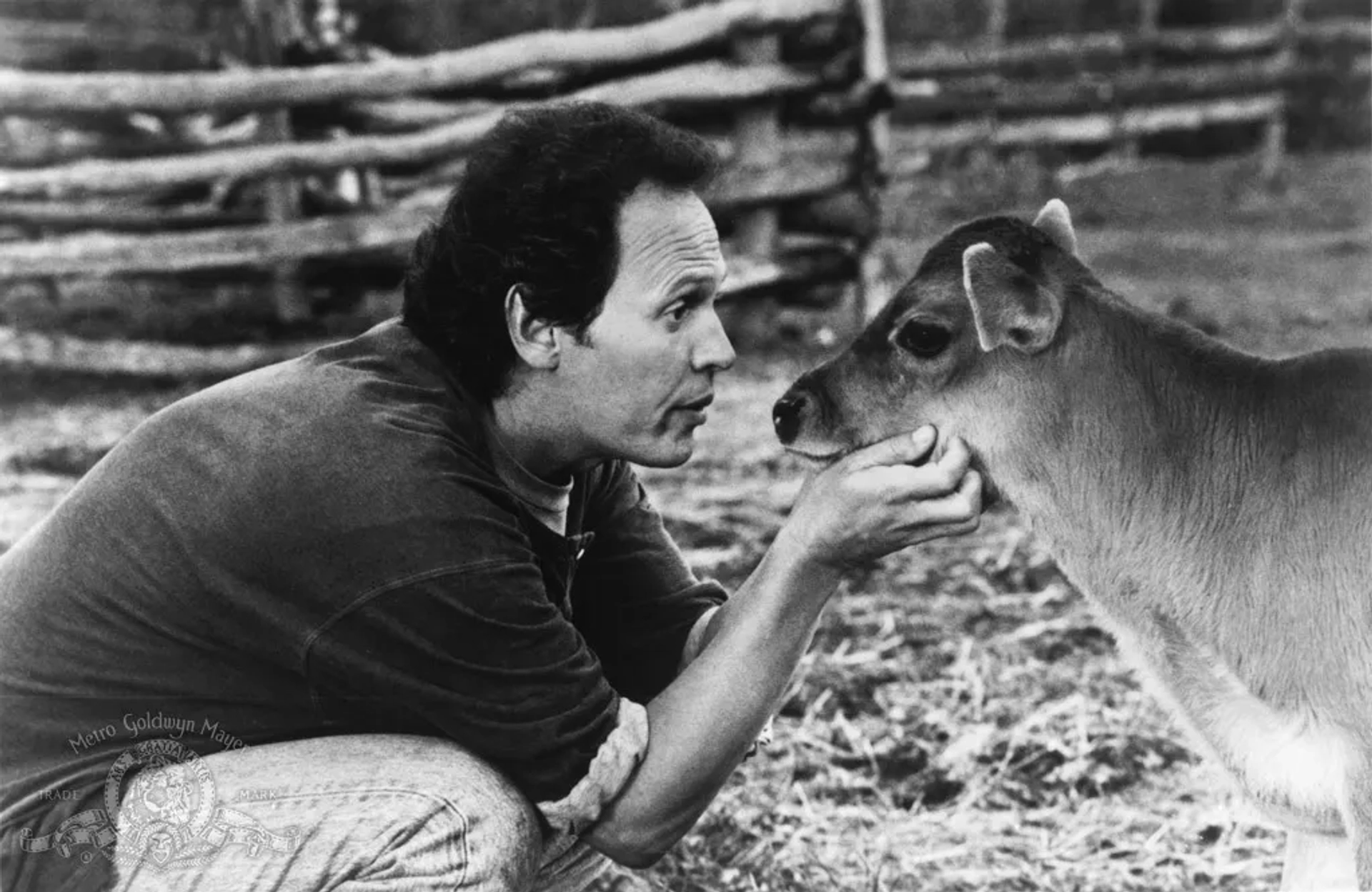 Billy Crystal in City Slickers (1991)