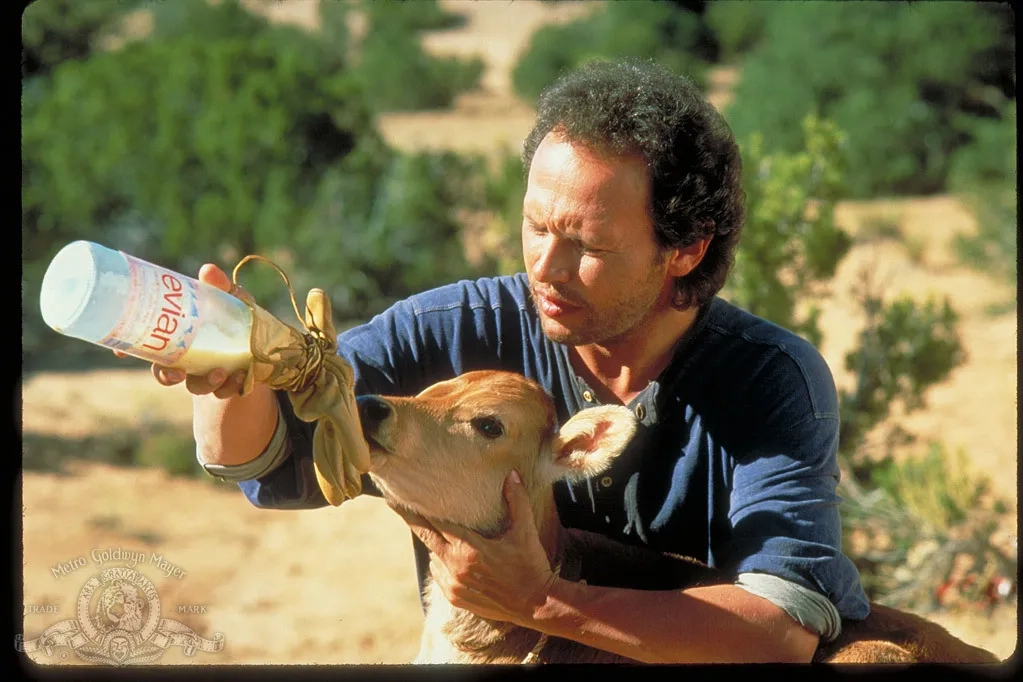 Billy Crystal in City Slickers (1991)