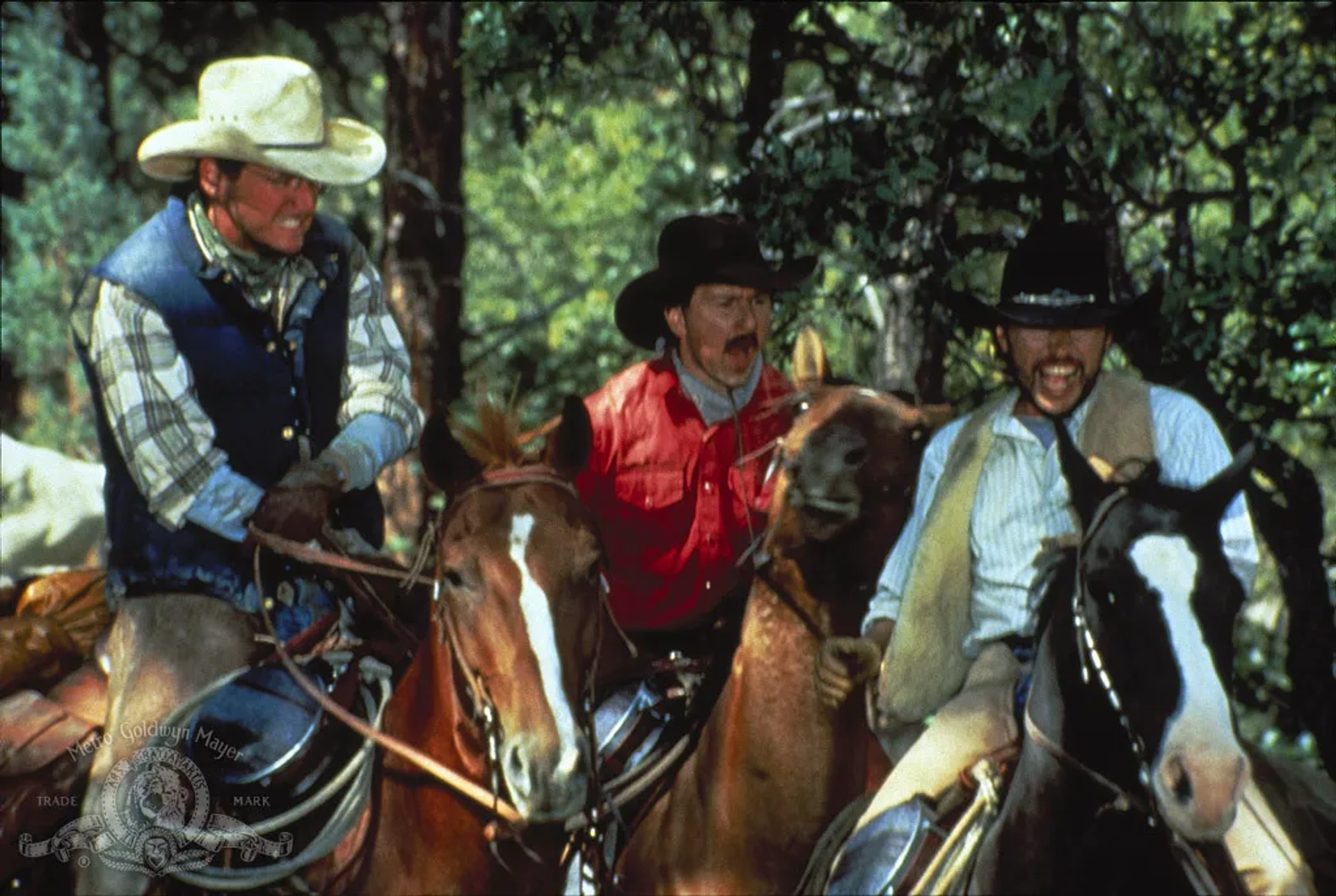 Billy Crystal, Bruno Kirby, and Daniel Stern in City Slickers (1991)