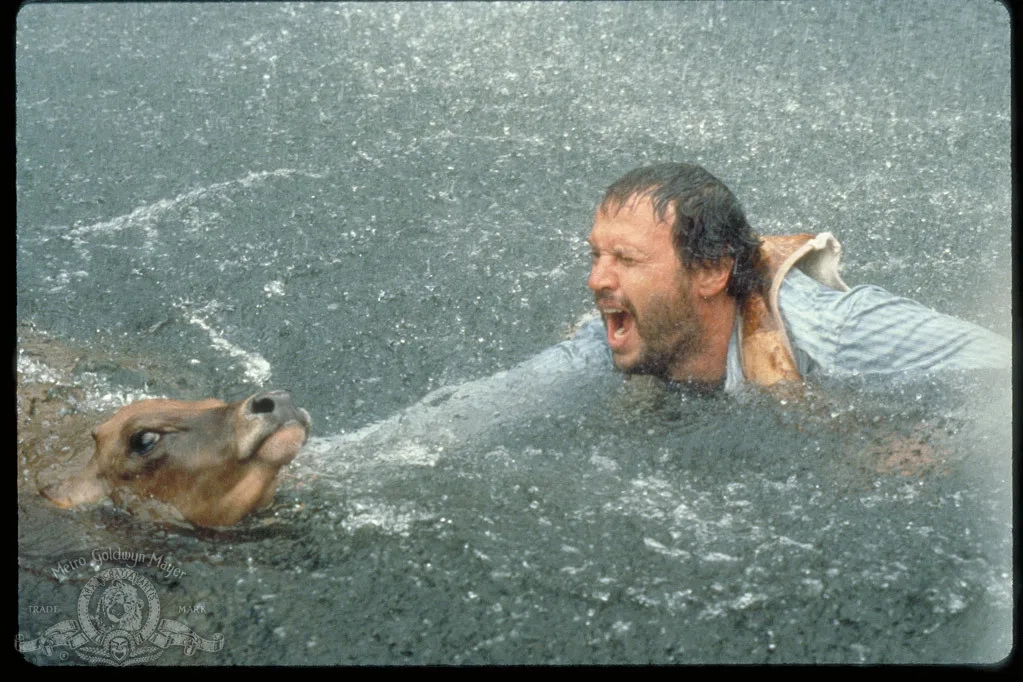 Billy Crystal in City Slickers (1991)
