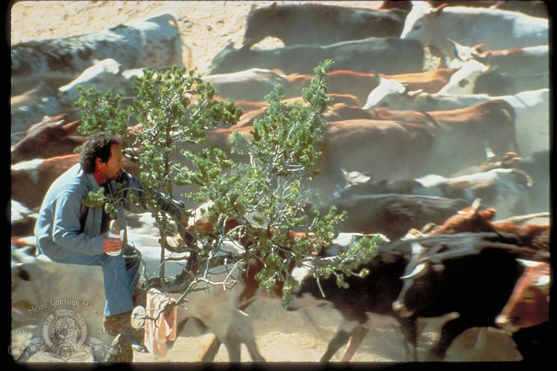 Billy Crystal in City Slickers (1991)