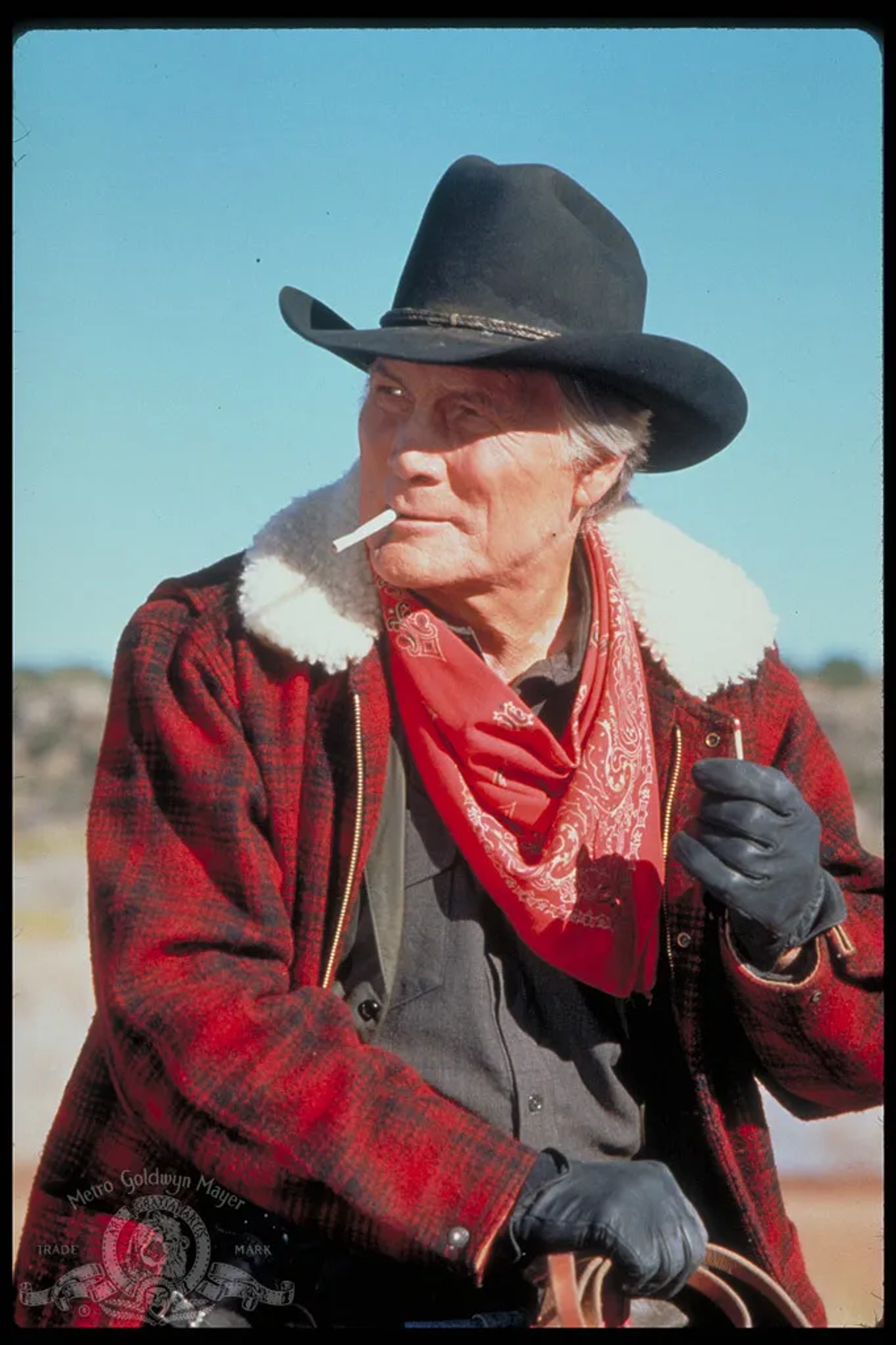 Jack Palance in City Slickers (1991)