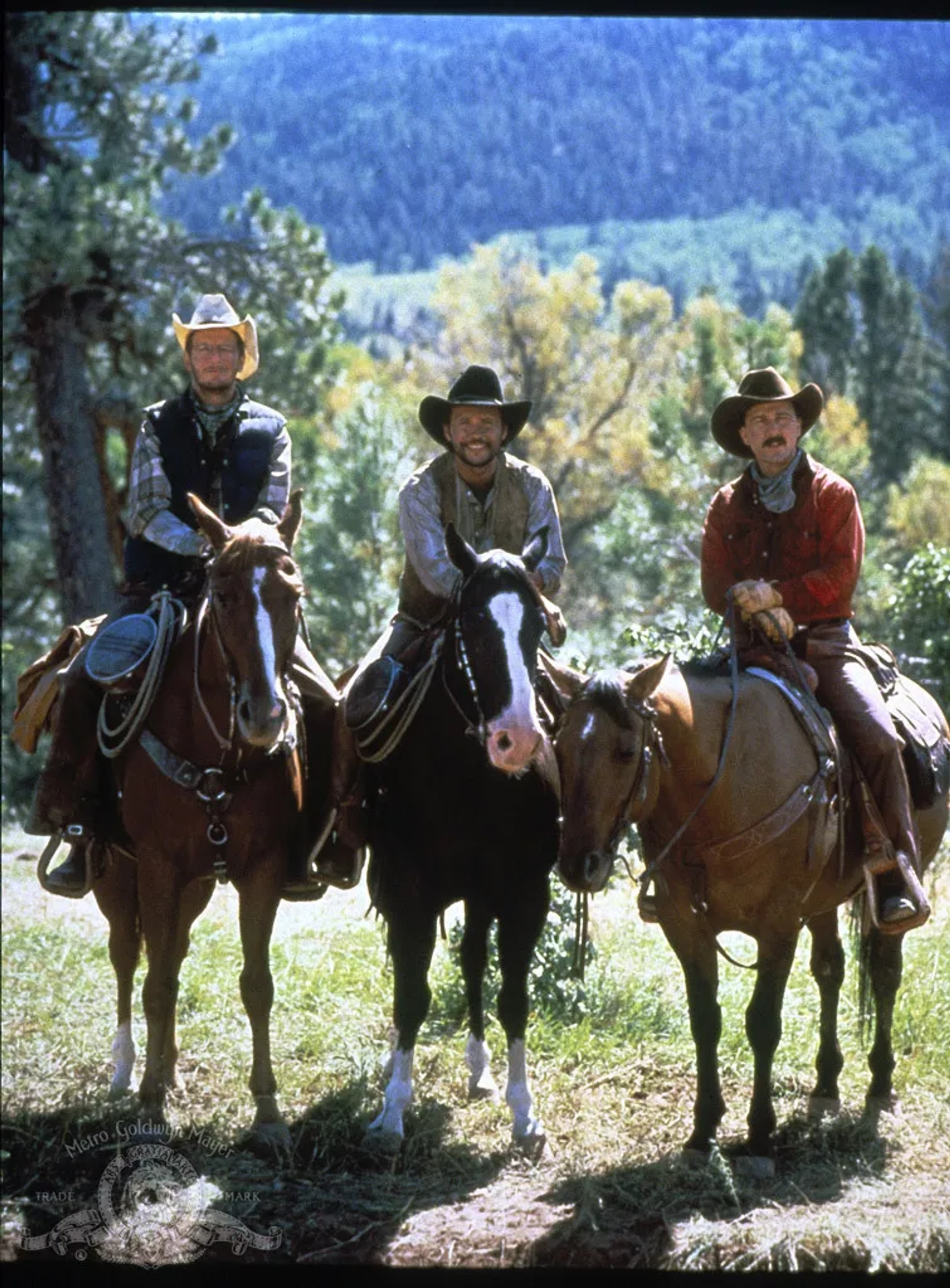 Billy Crystal, Bruno Kirby, and Daniel Stern in City Slickers (1991)