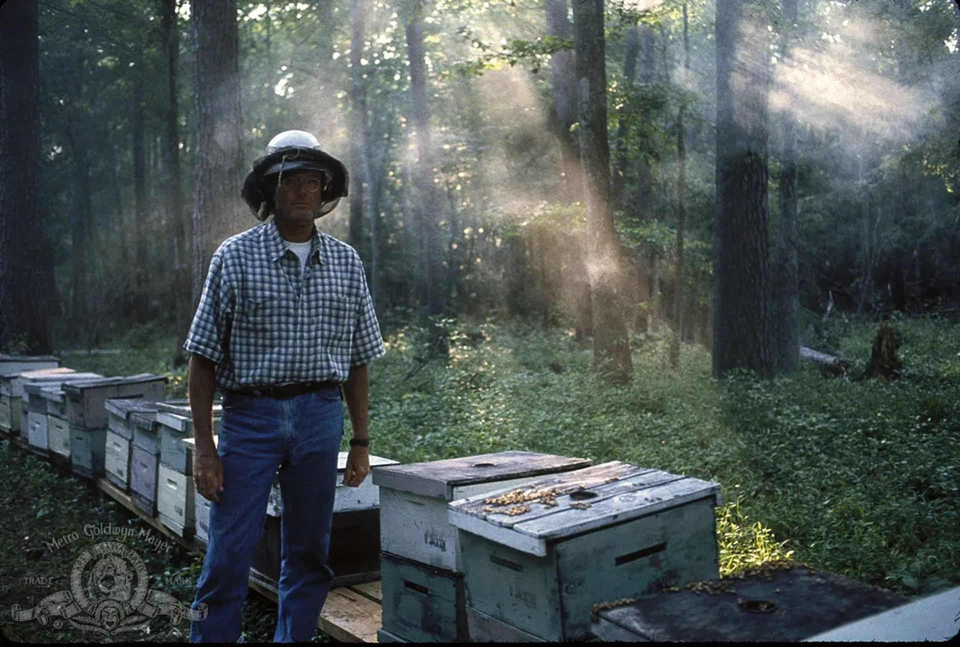 Peter Fonda in Ulee's Gold (1997)