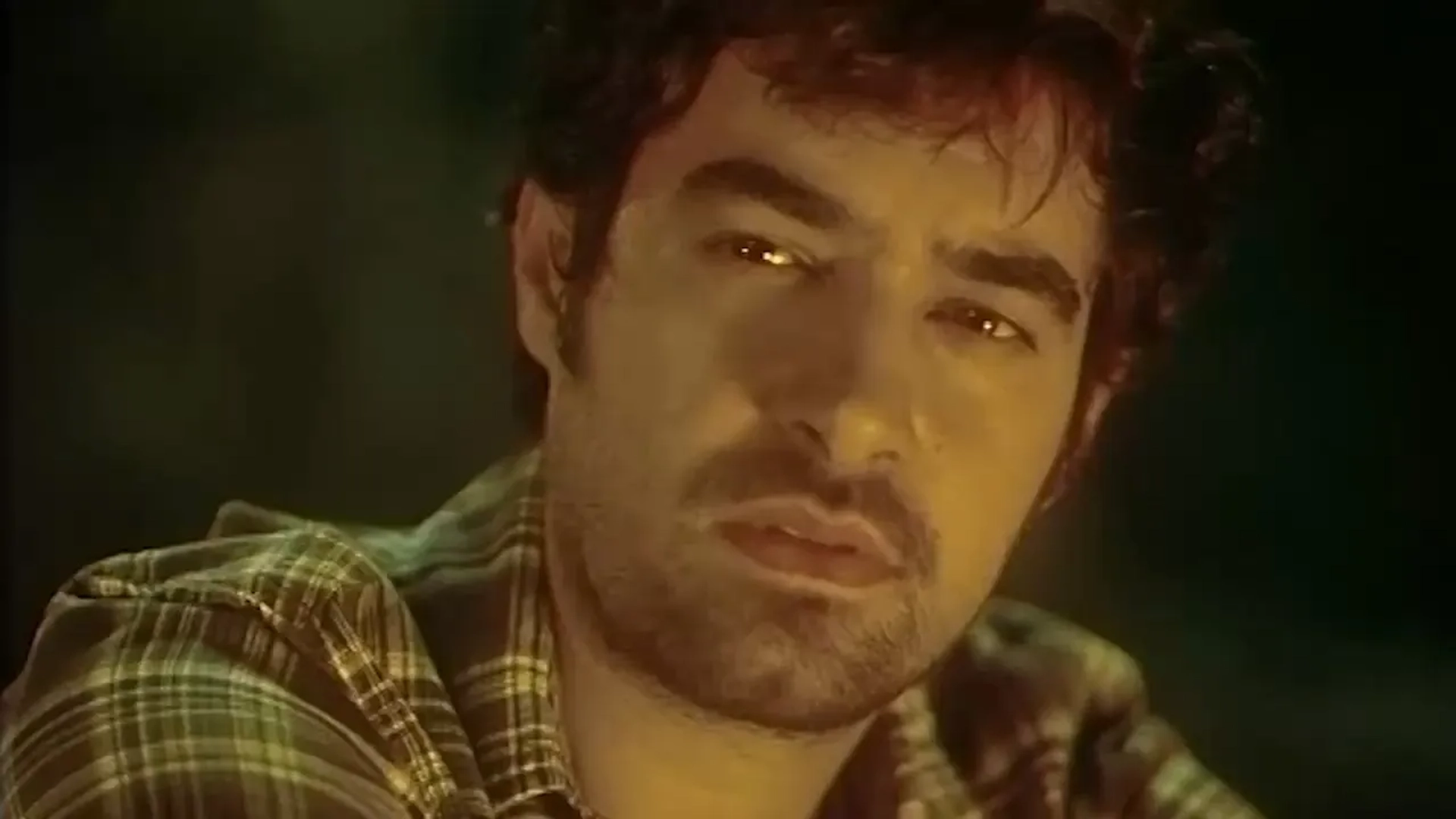 Shahab Hosseini in A Walk in the Fog (2010)