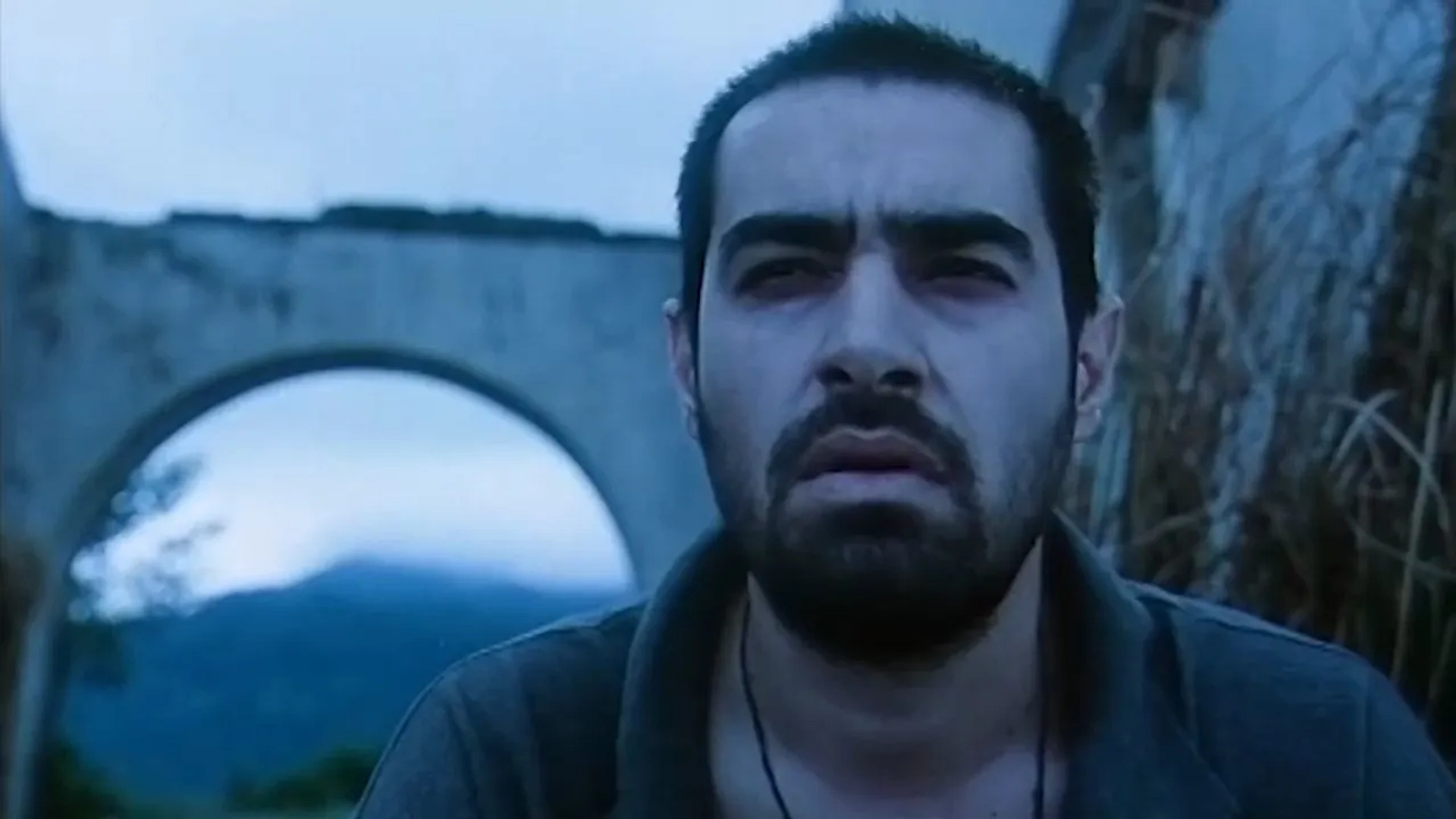 Shahab Hosseini in A Walk in the Fog (2010)