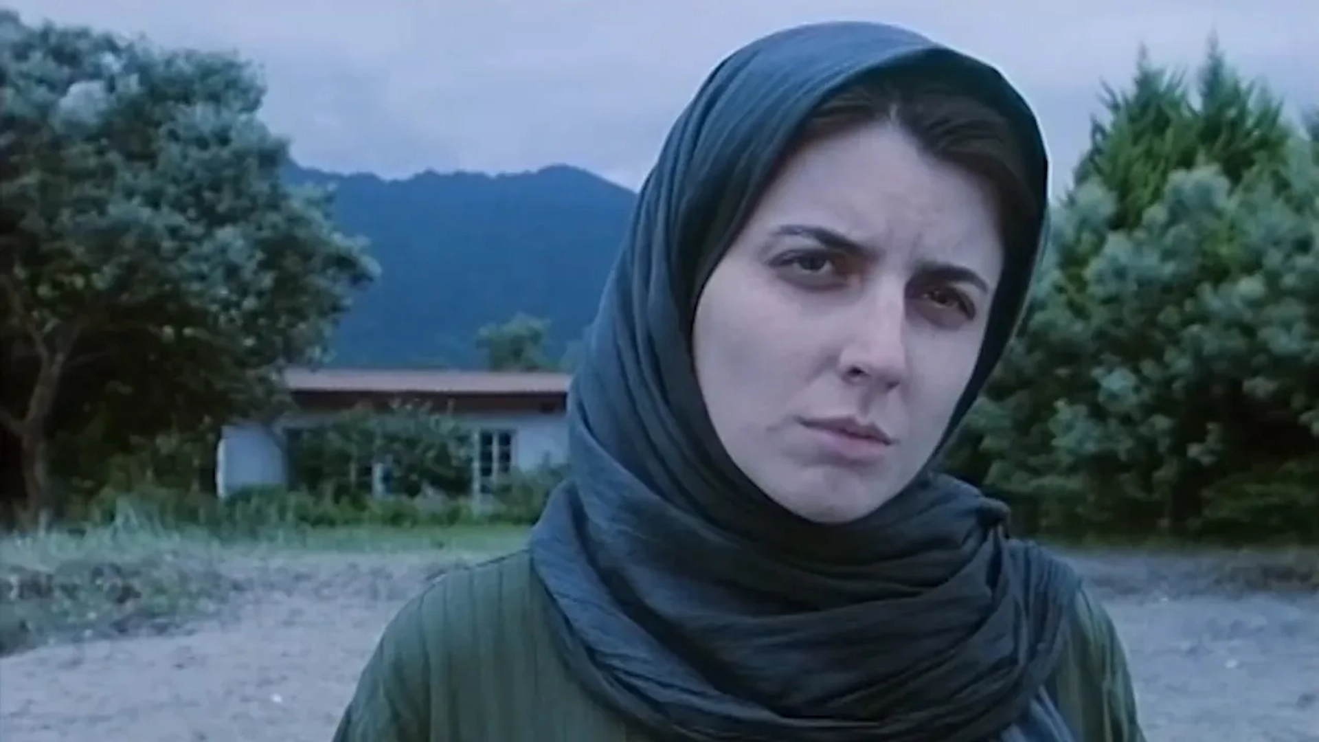 Leila Hatami in A Walk in the Fog (2010)