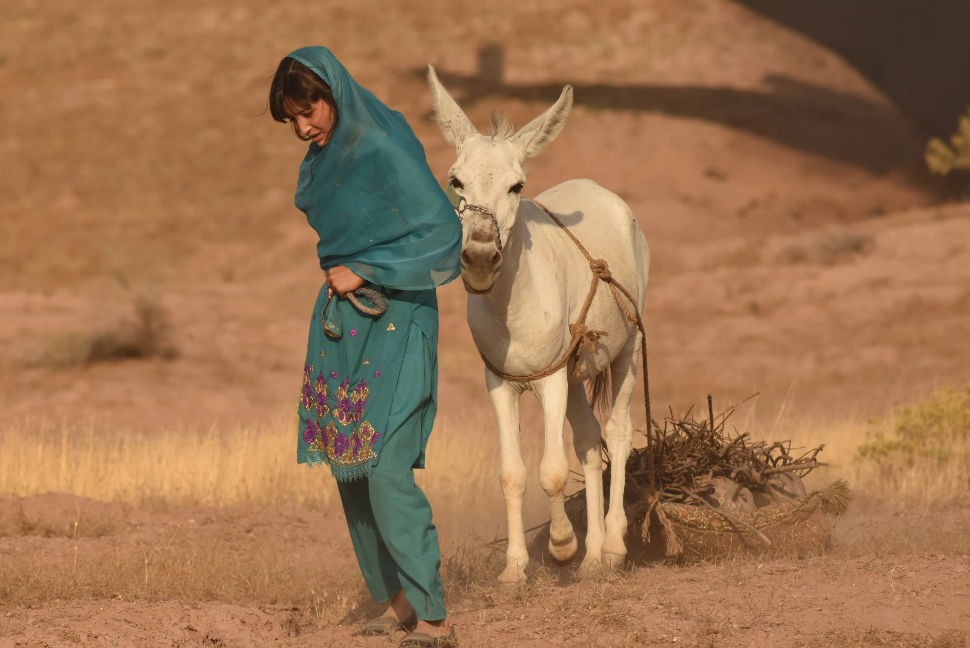 Hossein Safar, Fatemeh Khodadad, Ramin Rasouli, and Siyavash Haghighi in The Dogs Didn't Sleep Last Night (2020)