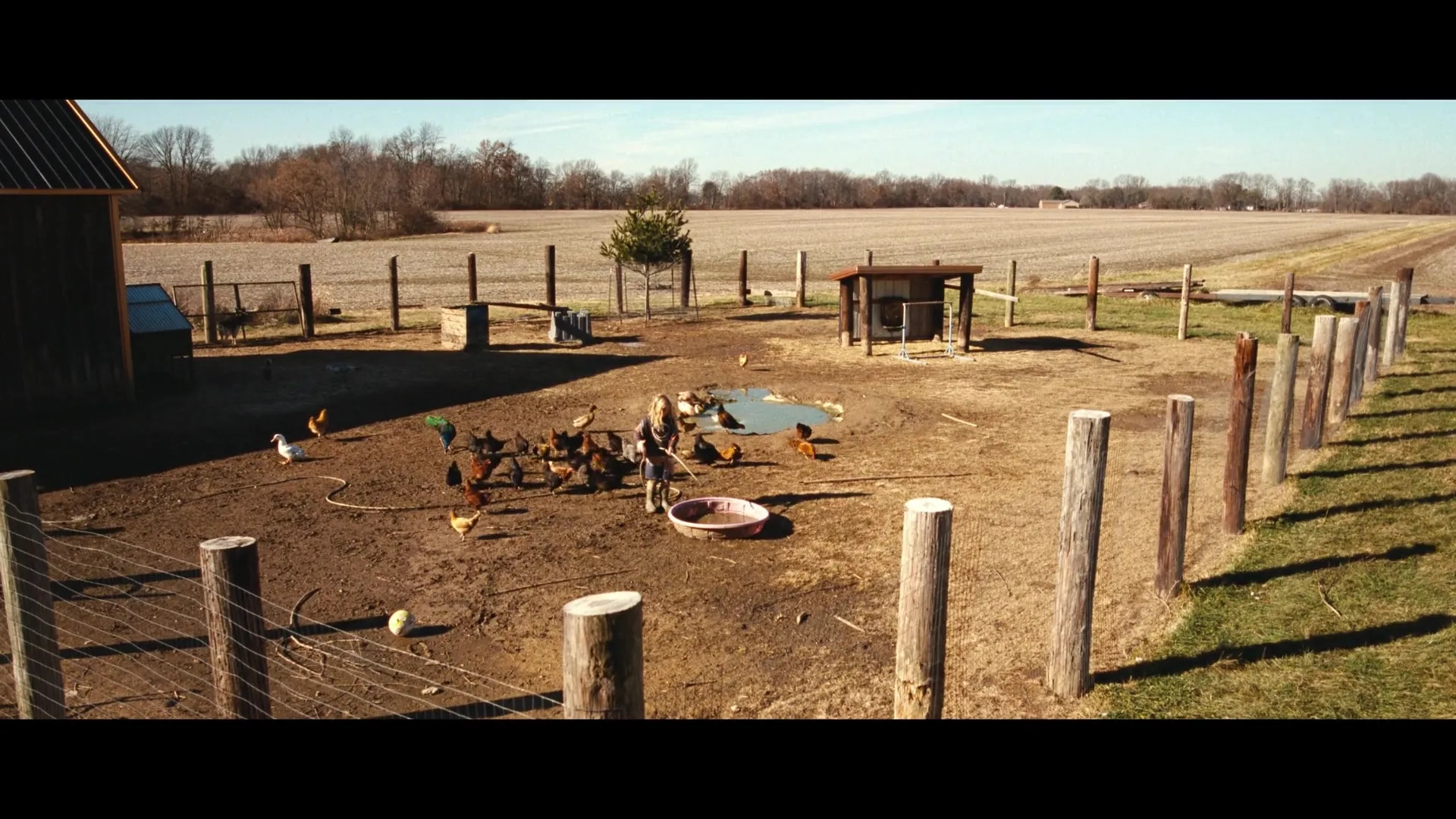 Nutcrackers (2024)