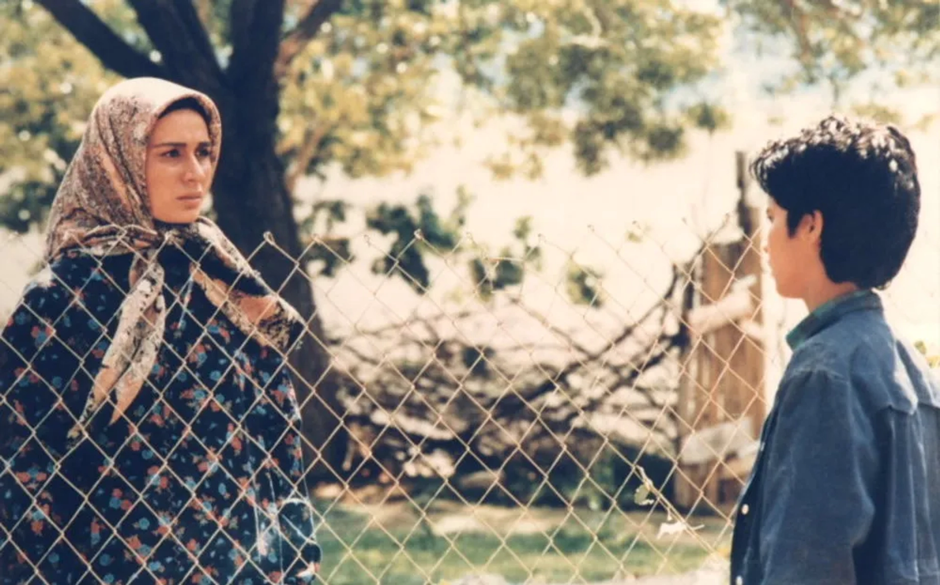 Parivash Nazarieh in The Father (1996)