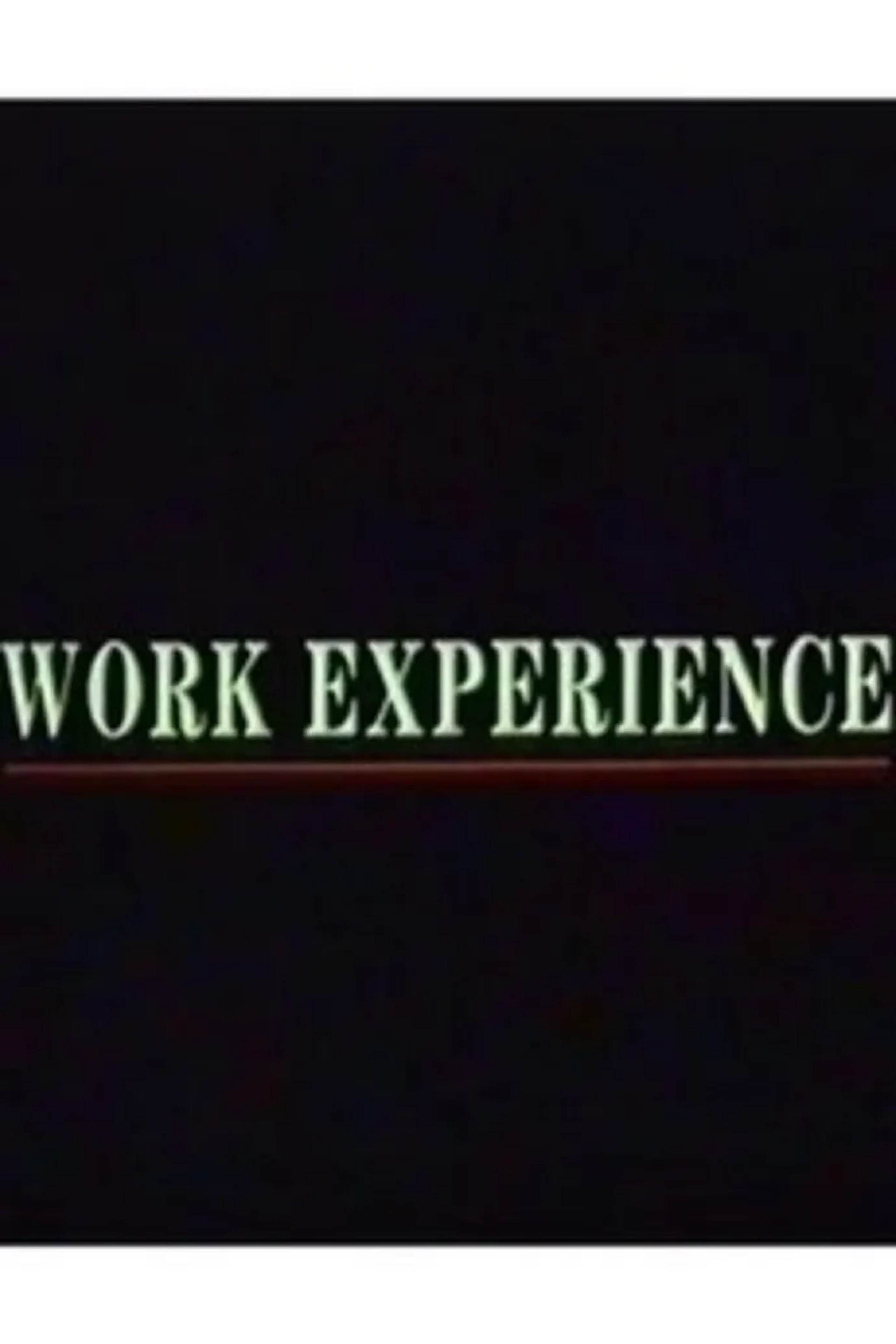 Work Experience (1989)