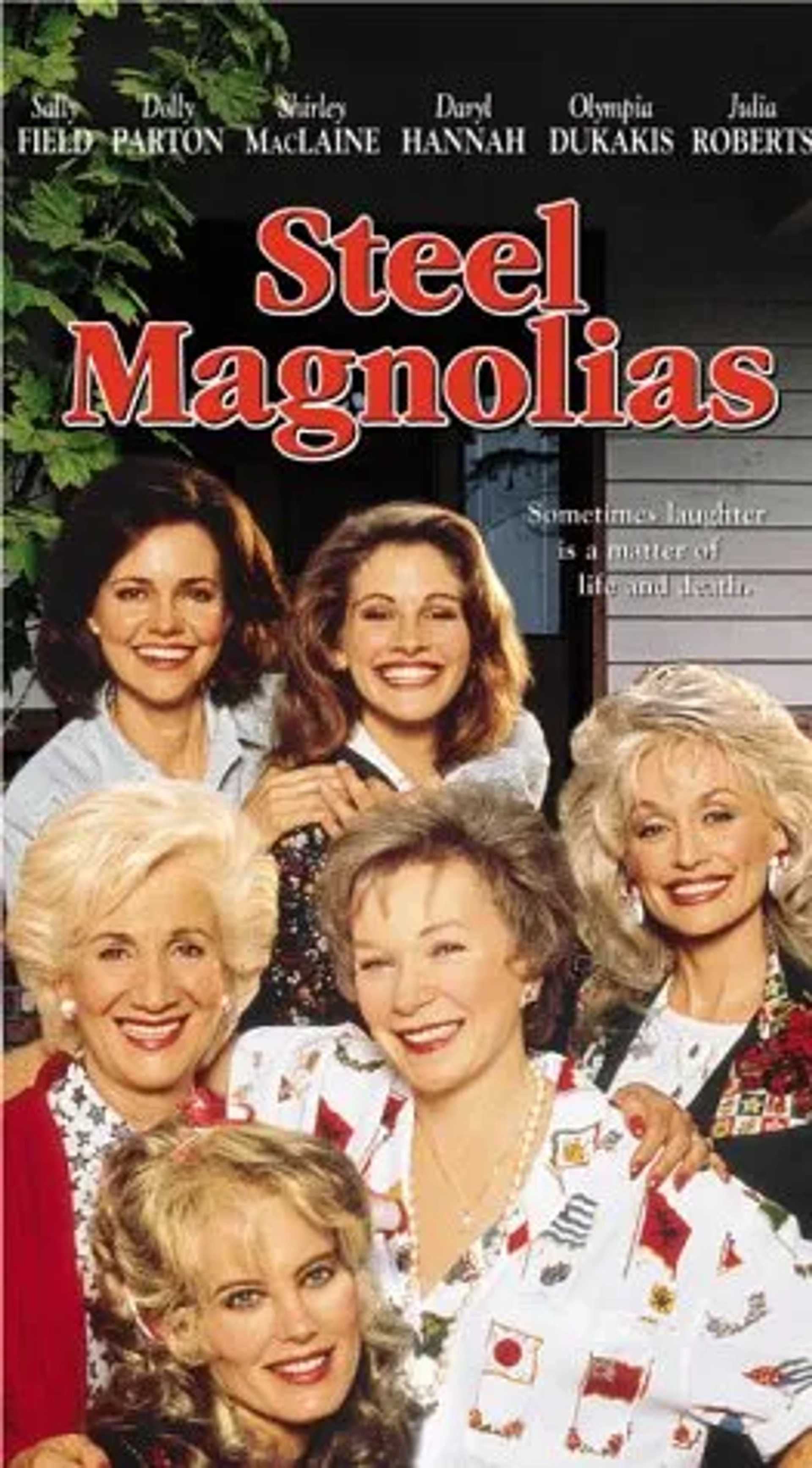 Julia Roberts, Sally Field, Daryl Hannah, Shirley MacLaine, Dolly Parton, and Olympia Dukakis in Steel Magnolias (1989)