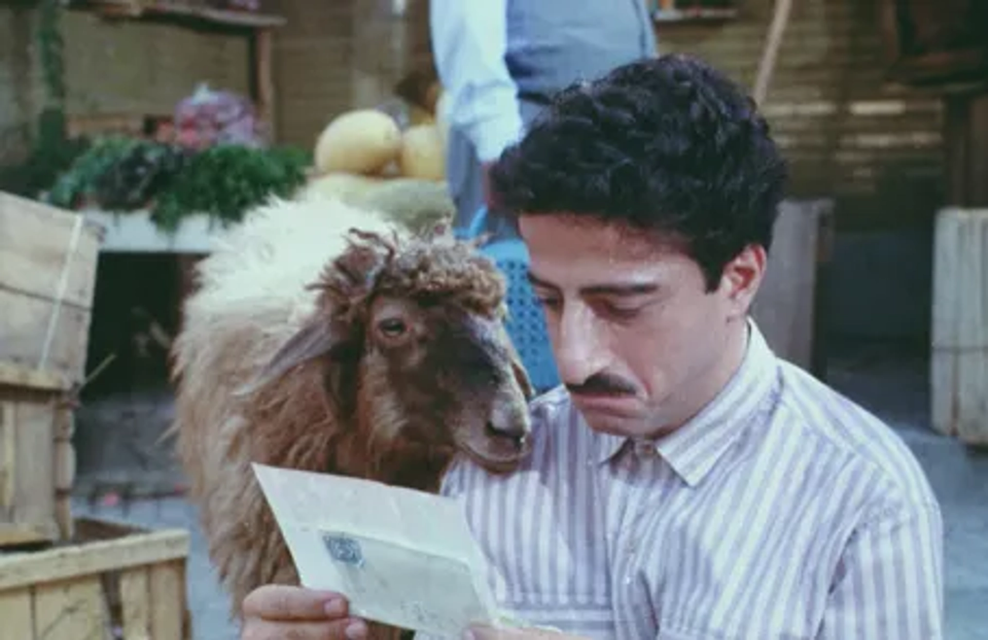 Alireza Khamseh in Apartment No.13 (1990)