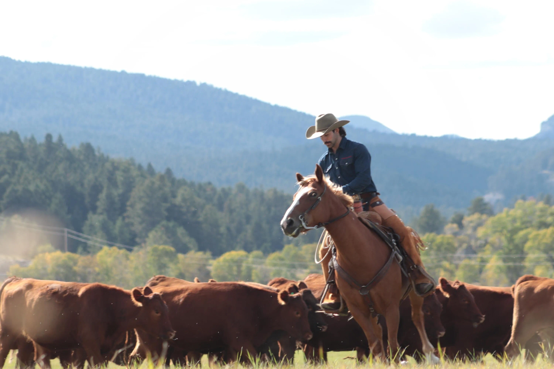 Carson Rapsilver in The Wranglers (2024)