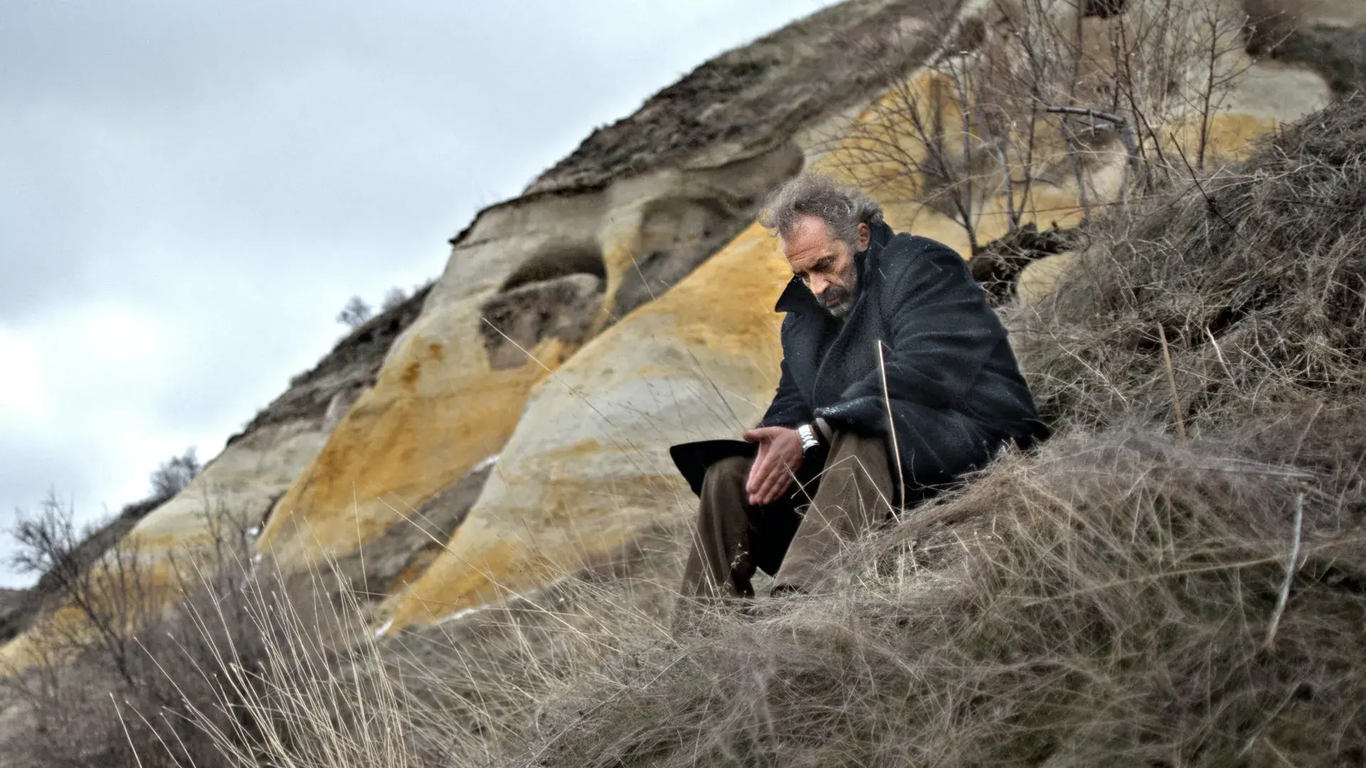 خواب-زمستانی